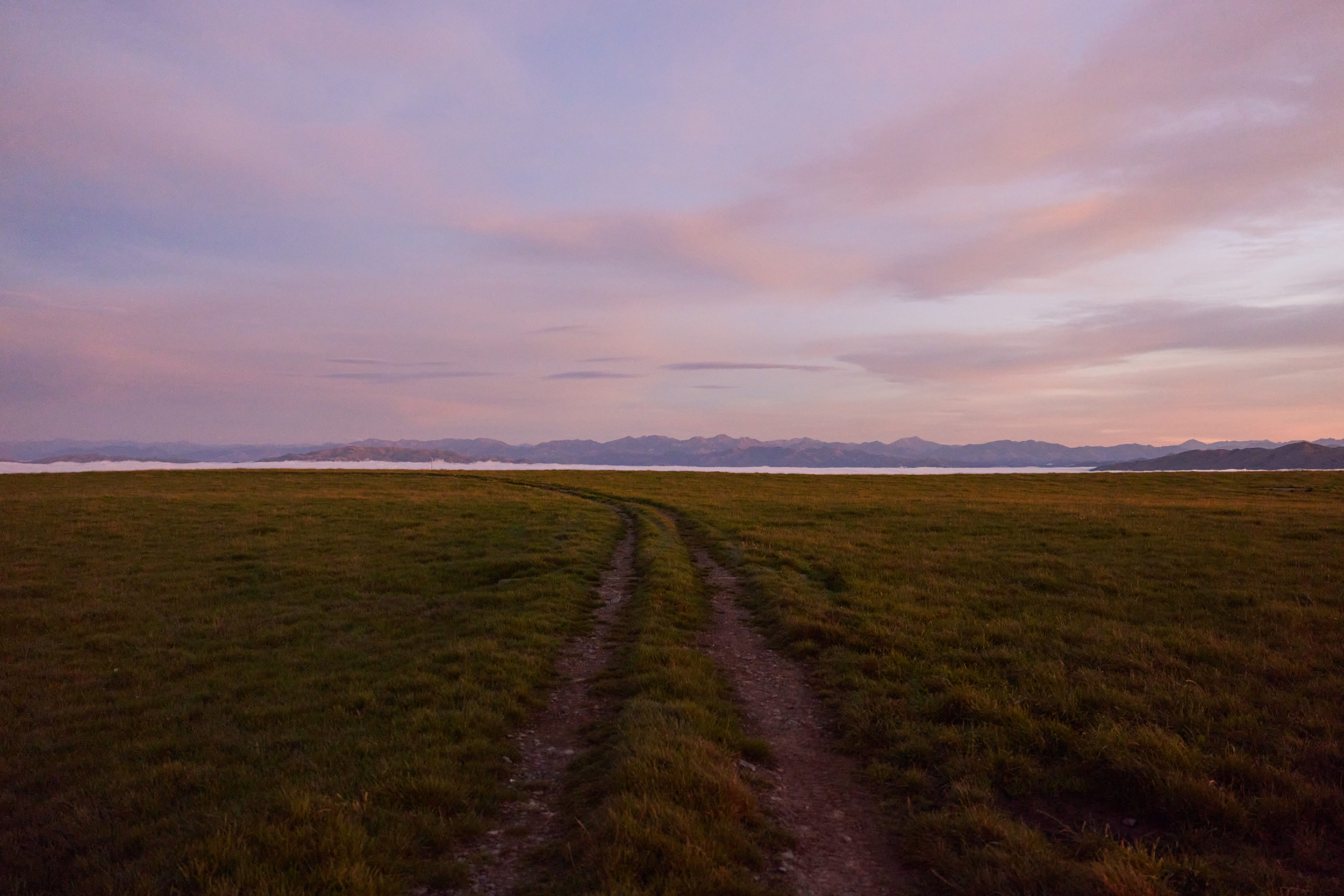 The Collective Force - Silver Fern Farms