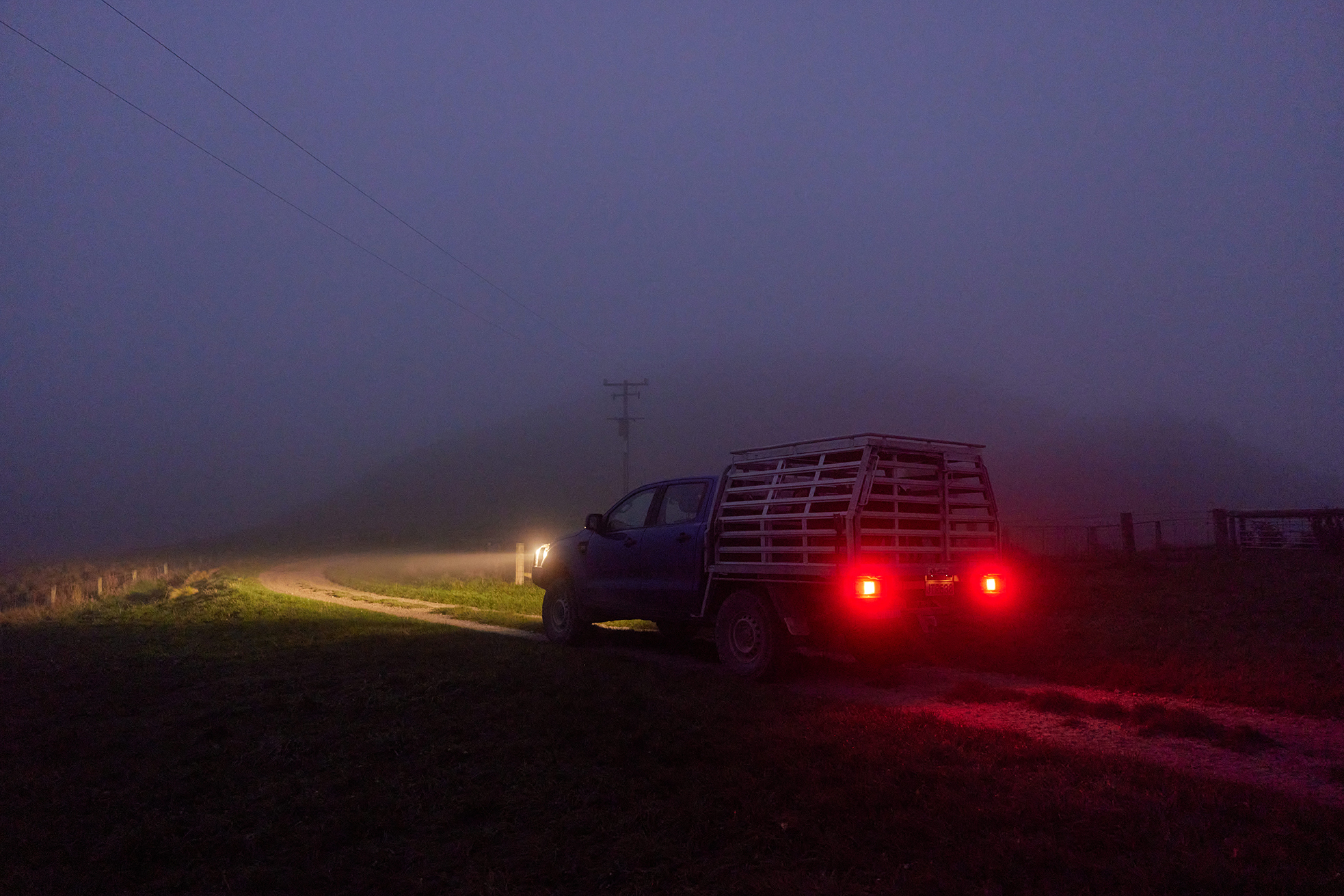 The Collective Force - Silver Fern Farms