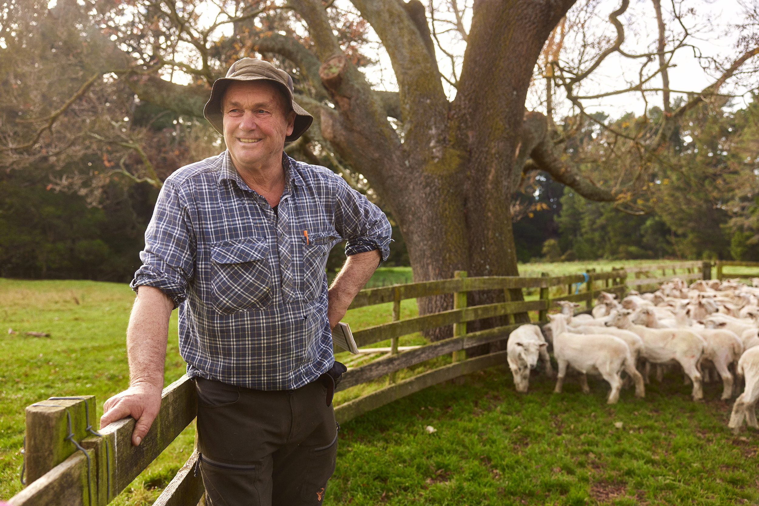 The Collective Force - Silver Fern Farms