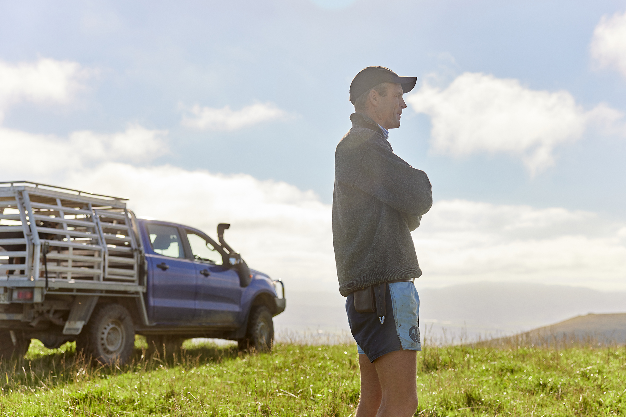 The Collective Force - Silver Fern Farms