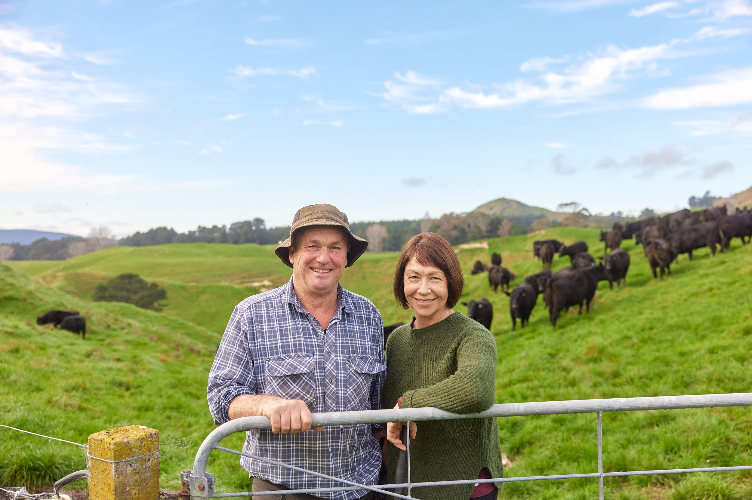 The Collective Force - Silver Fern Farms
