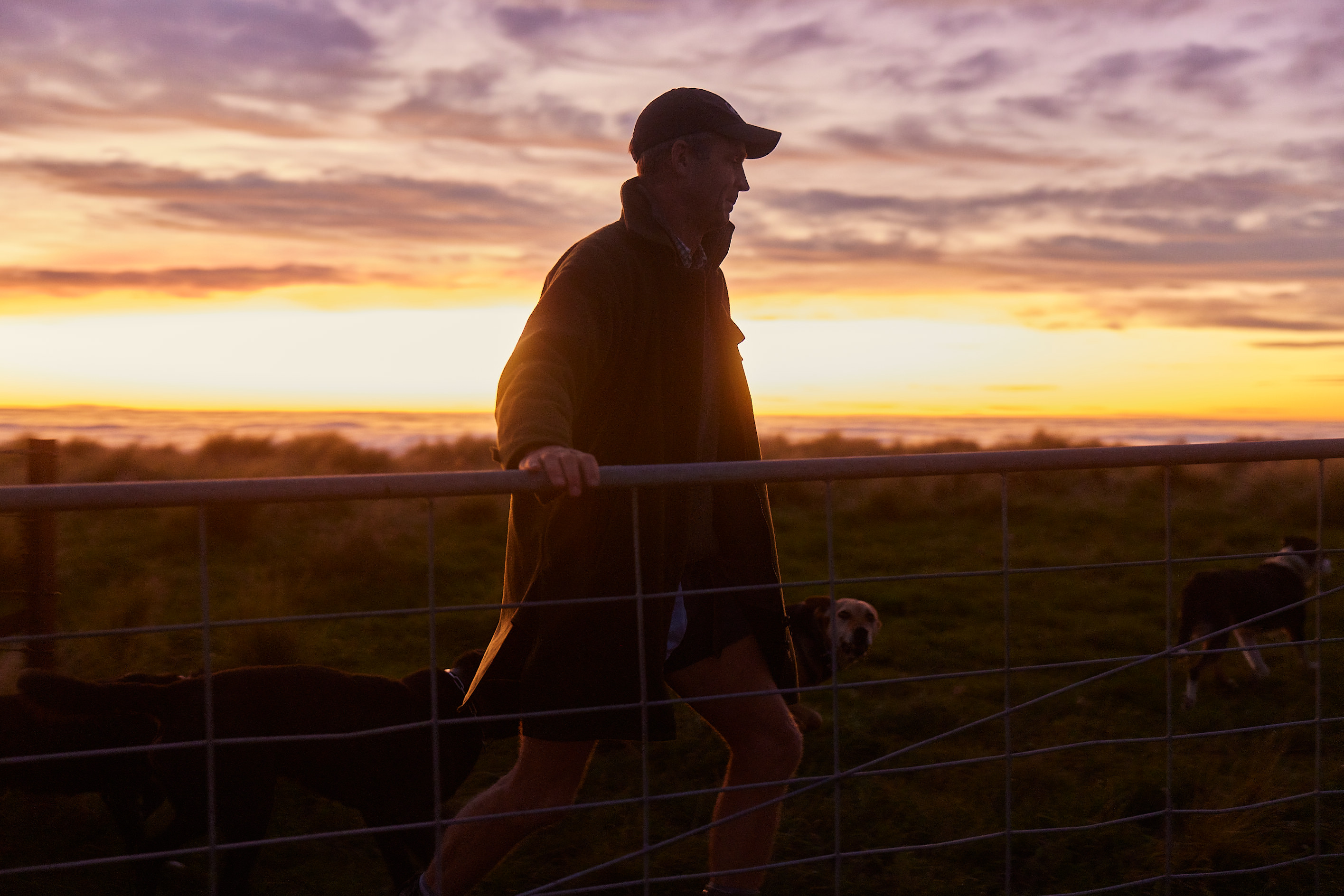 The Collective Force - Silver Fern Farms
