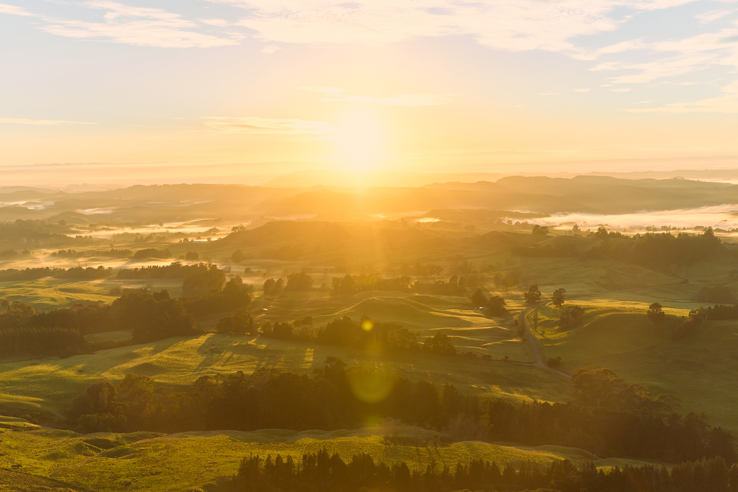 The Collective Force - Silver Fern Farms