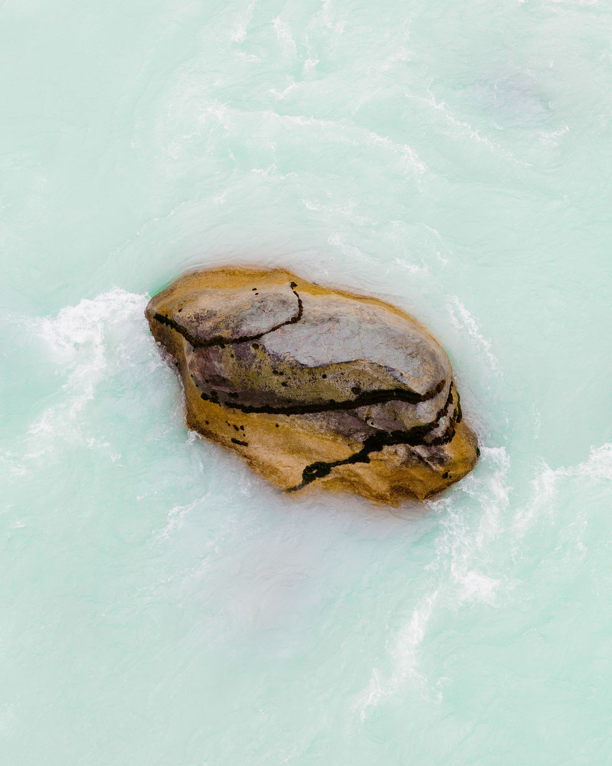 The Collective Force - Joshua Harvey