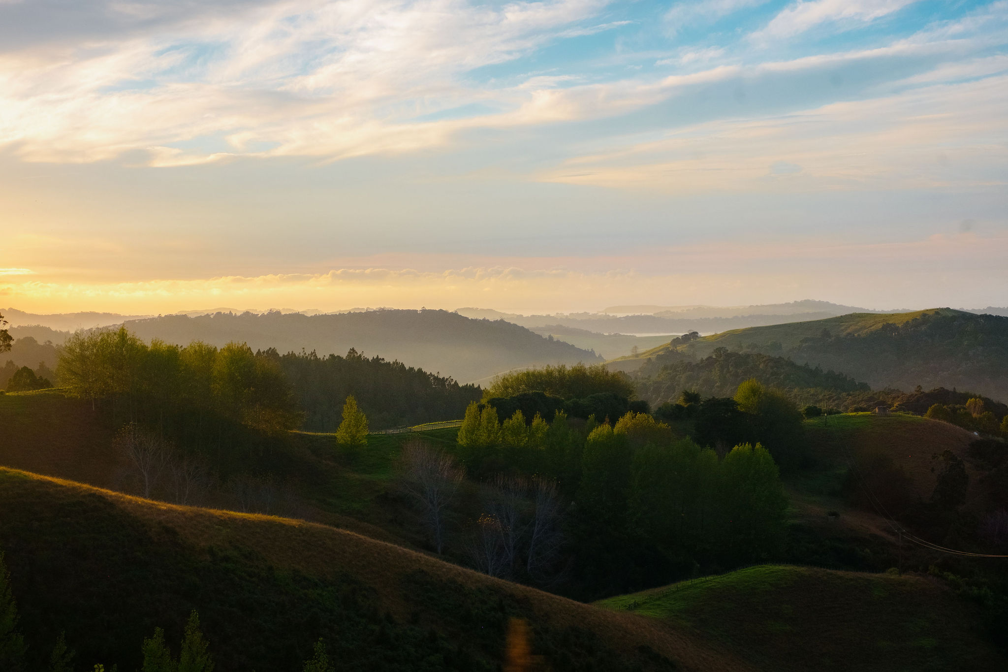 The Collective Force - Joshua Harvey