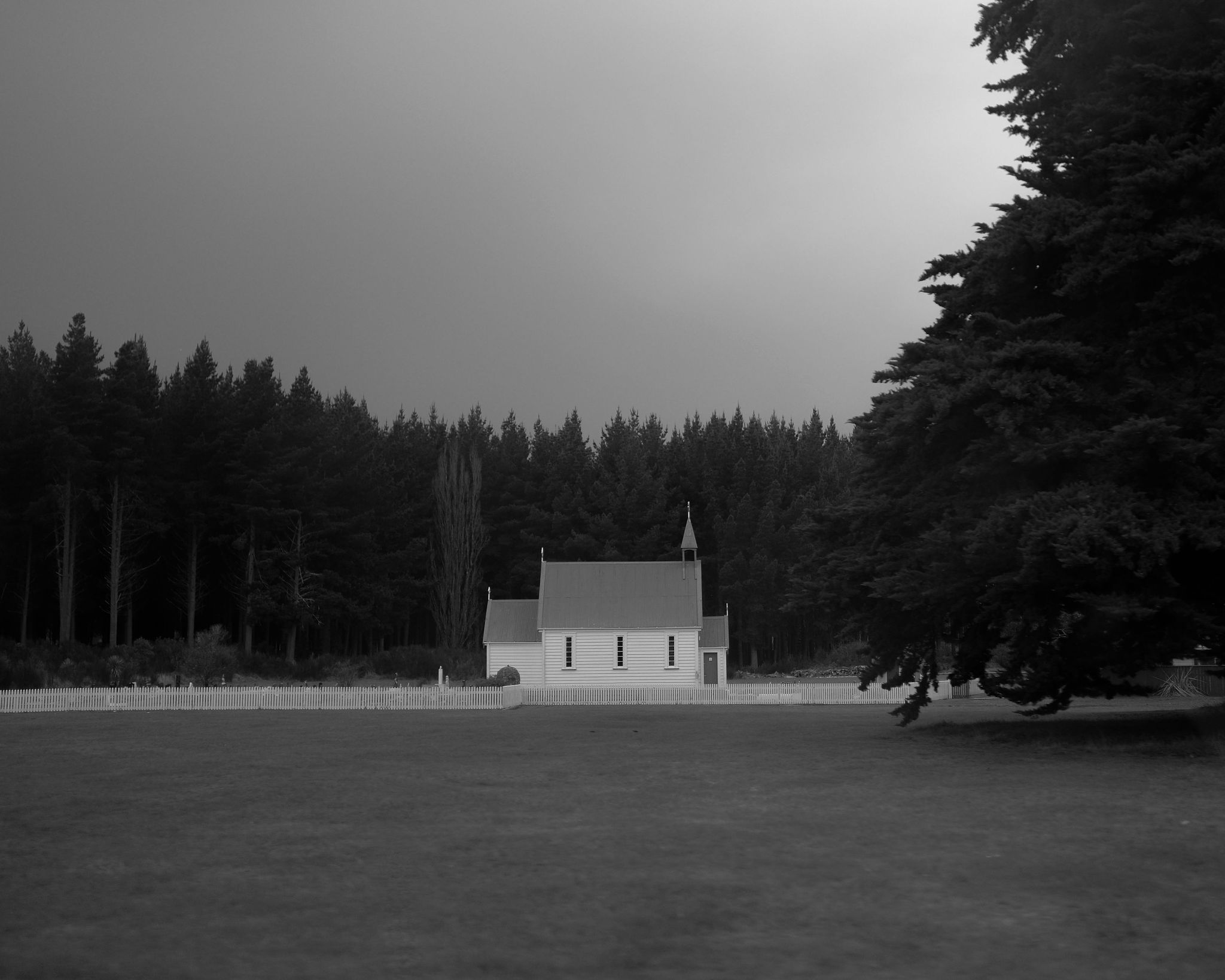 The Collective Force - Joshua Harvey