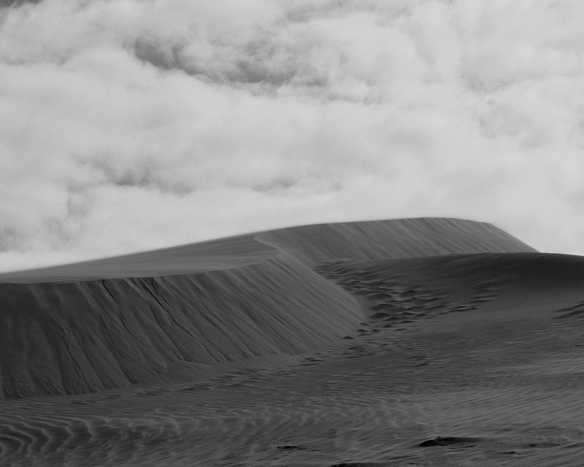 The Collective Force - Joshua Harvey