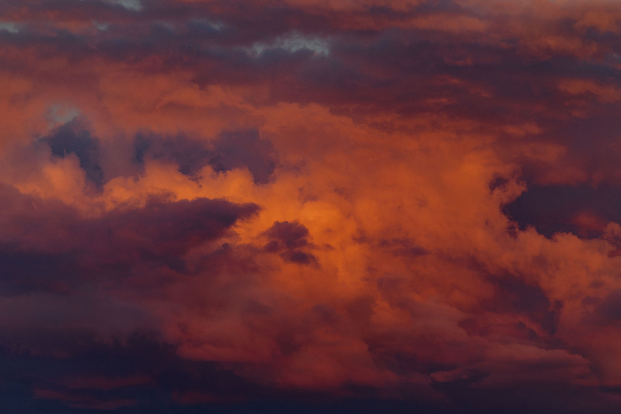 The Collective Force - Joshua Harvey