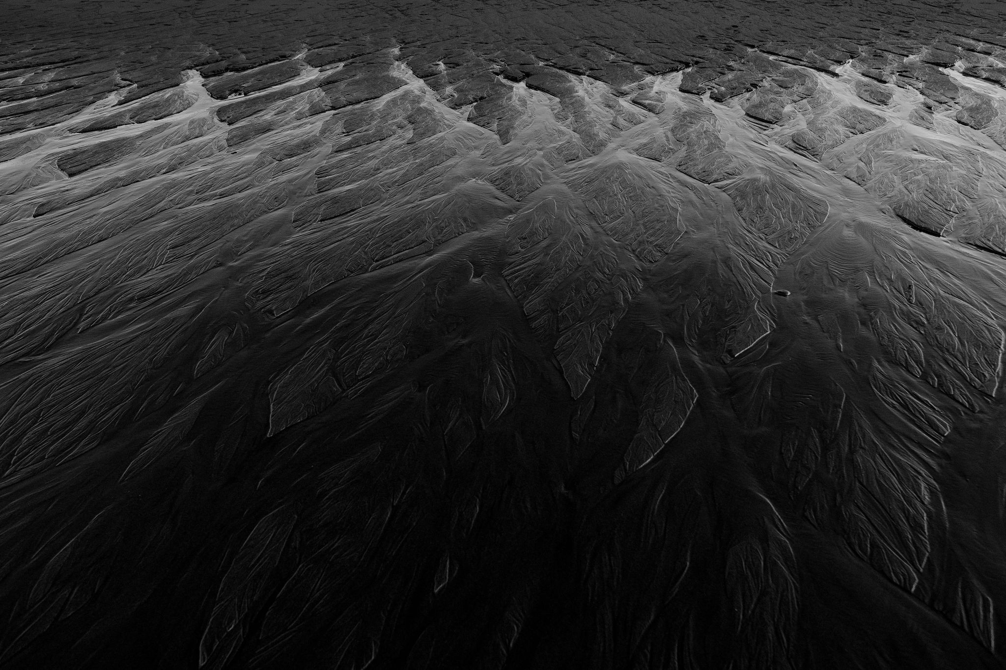 The Collective Force - Joshua Harvey