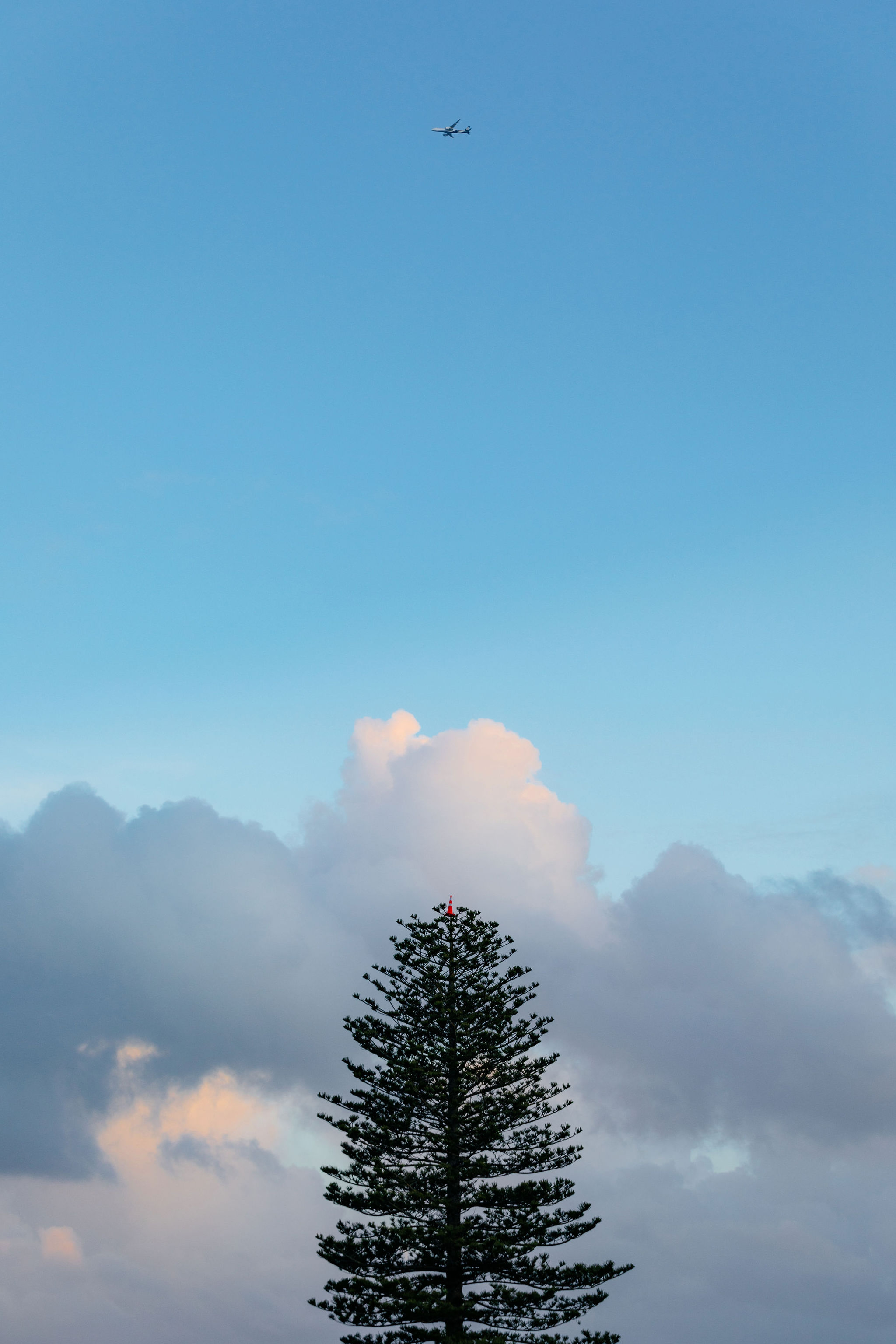 The Collective Force - Location