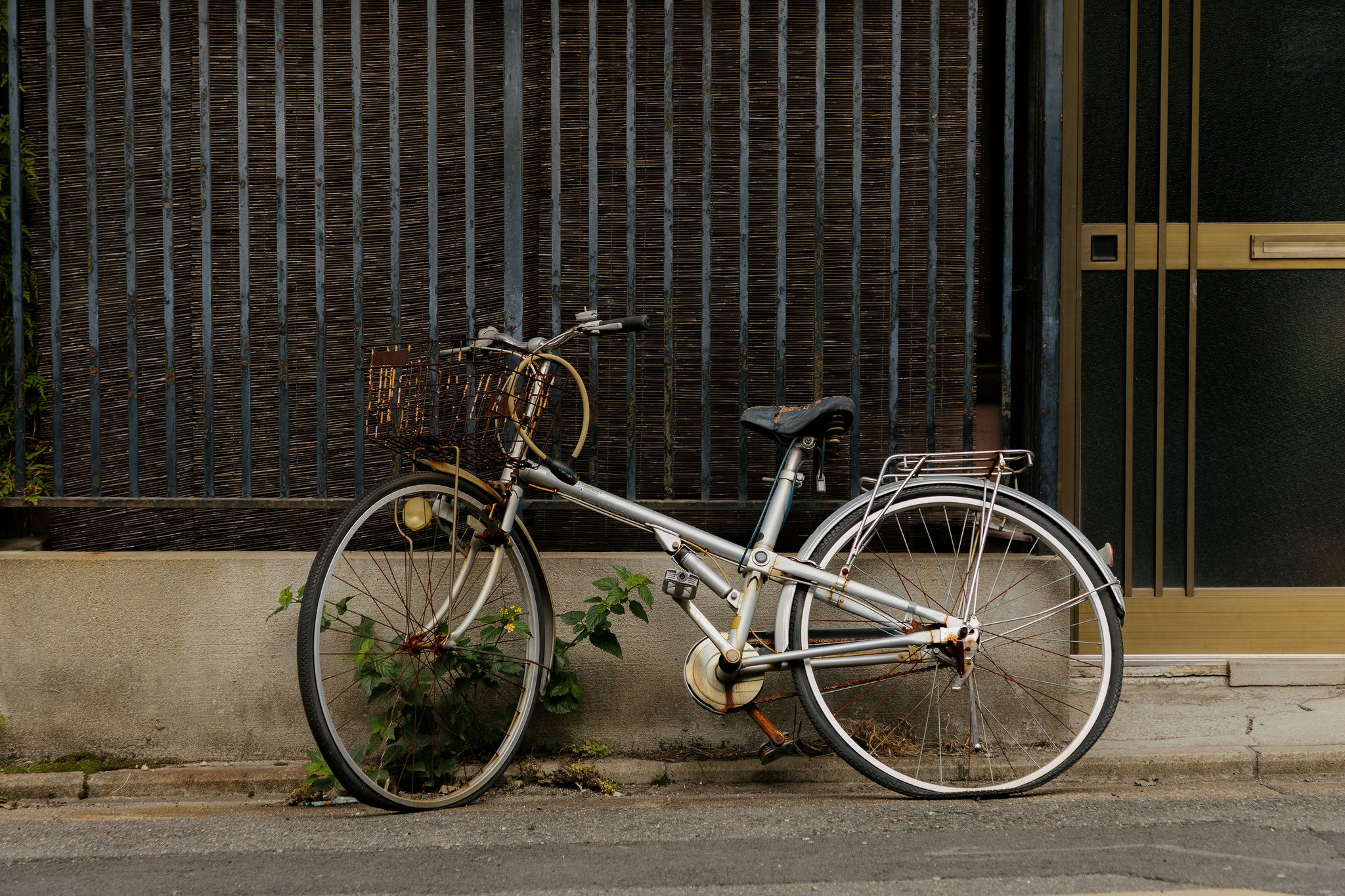 The Collective Force - Location