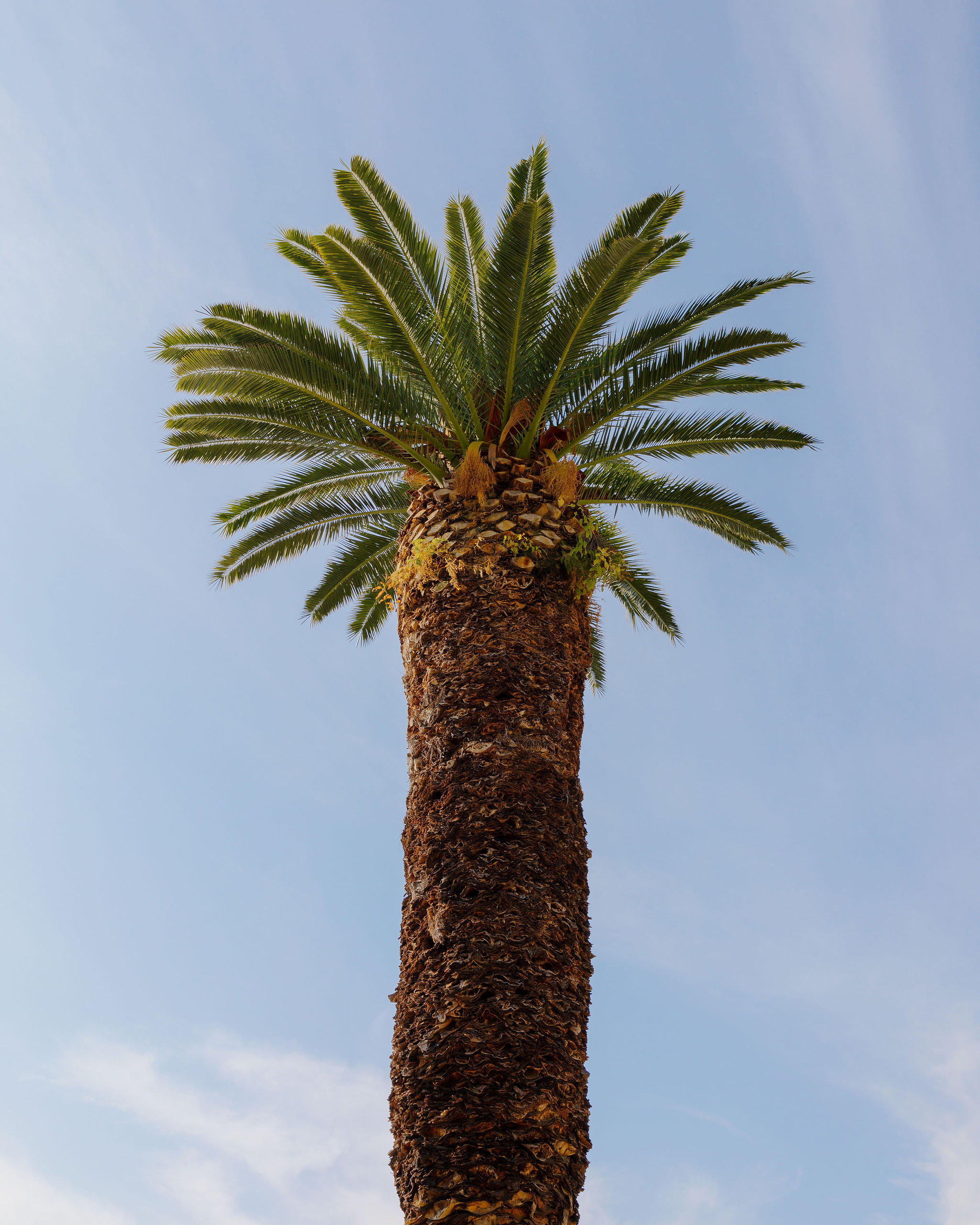 The Collective Force - Location