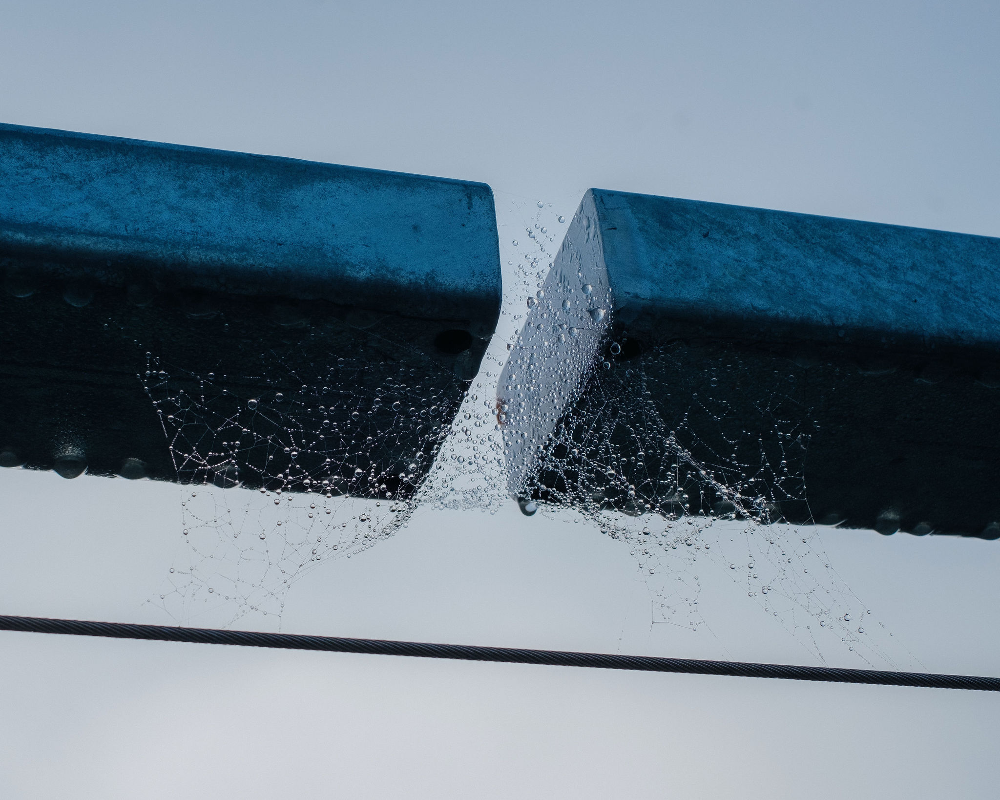 The Collective Force - Location