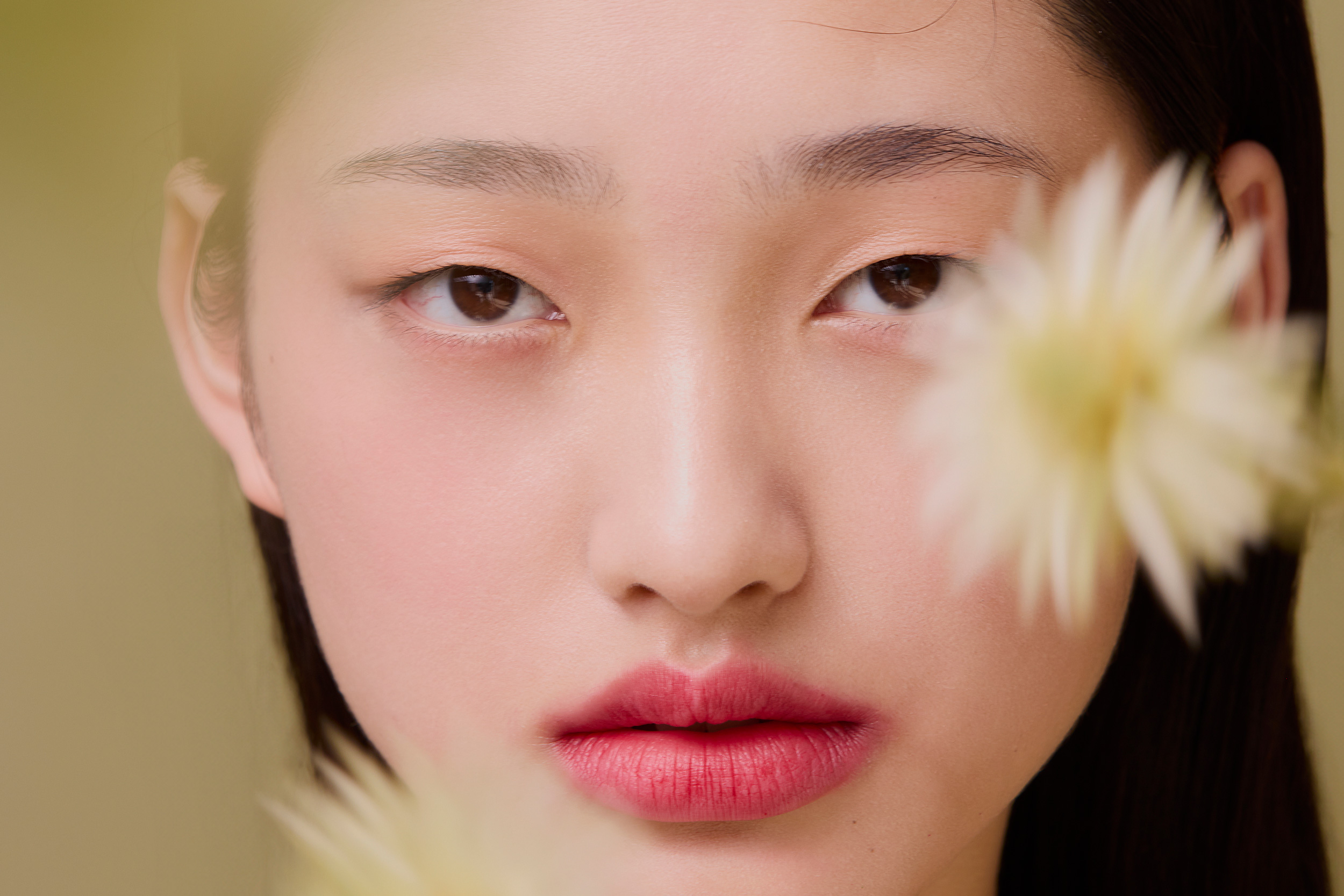 The Collective Force - Artists