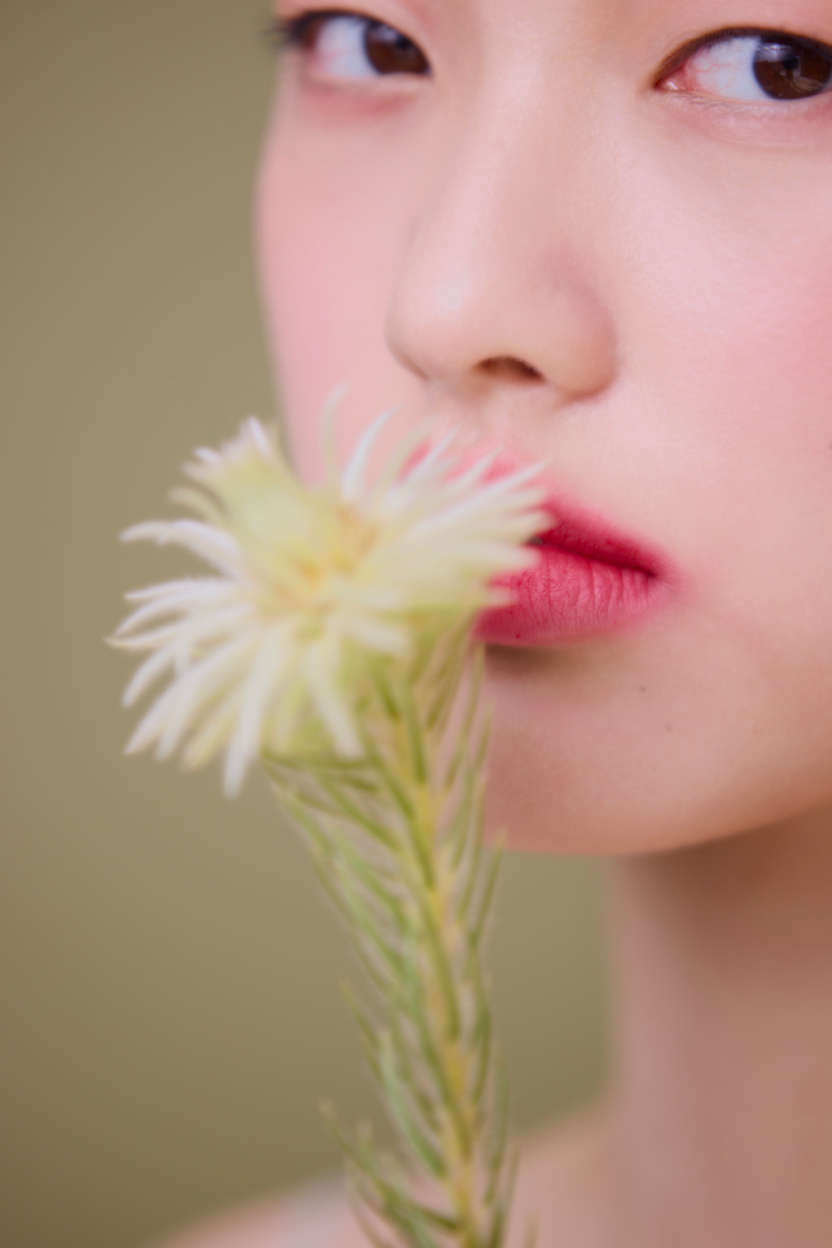 The Collective Force - Beauty