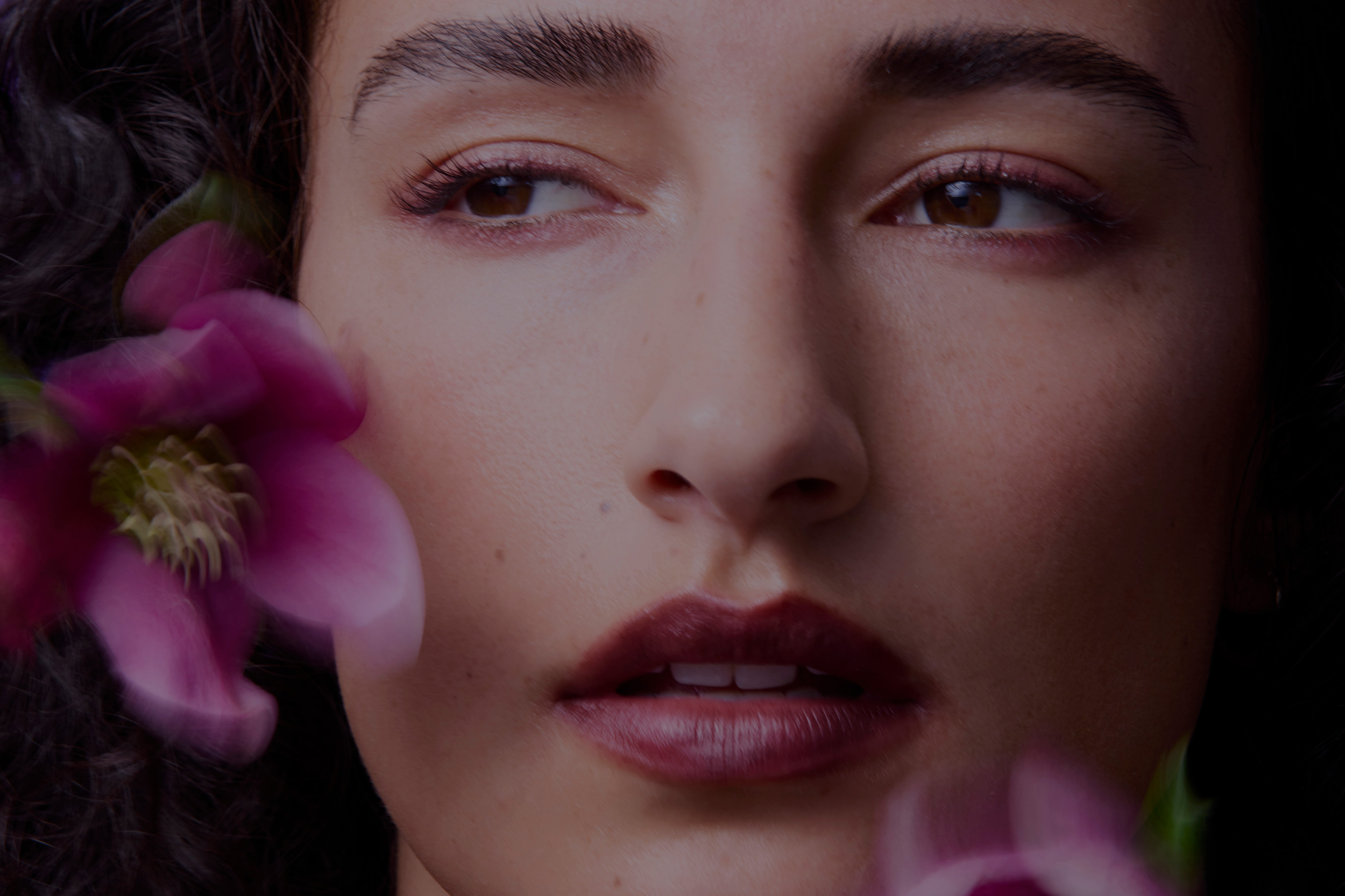 The Collective Force - Beauty