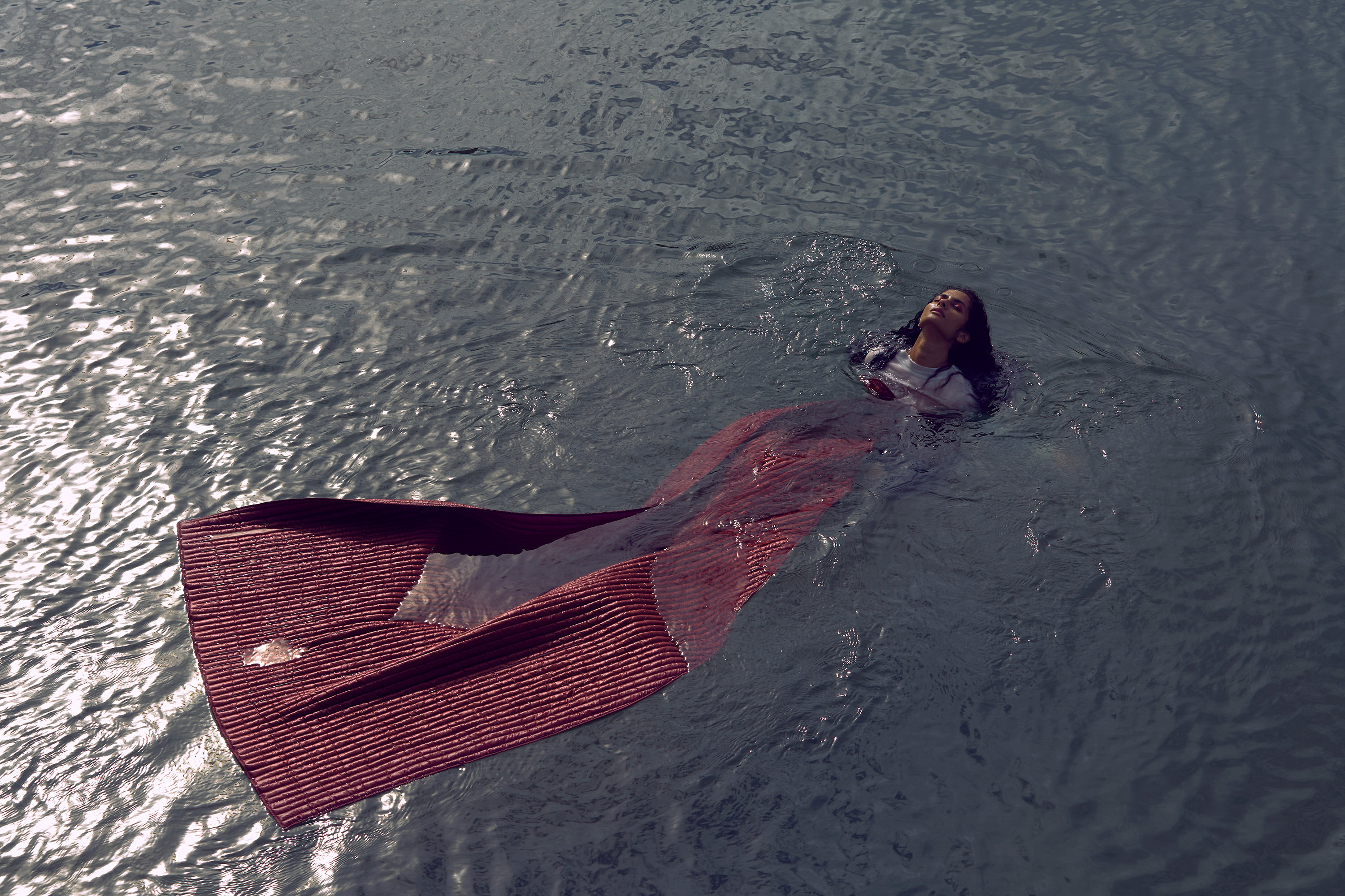 The Collective Force - Overview