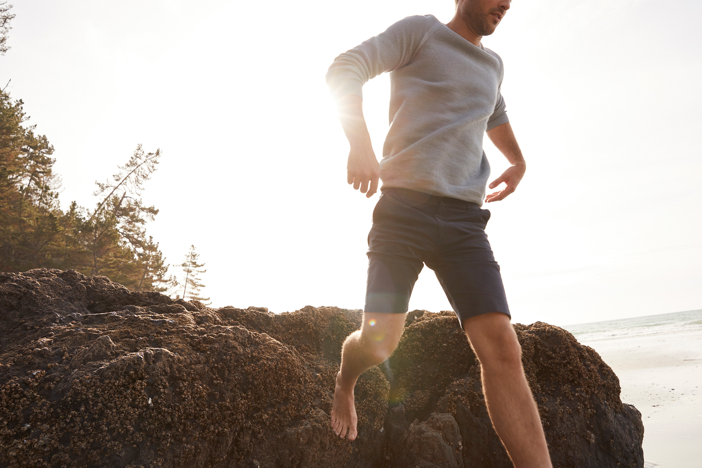 The Collective Force - Mara Sommer