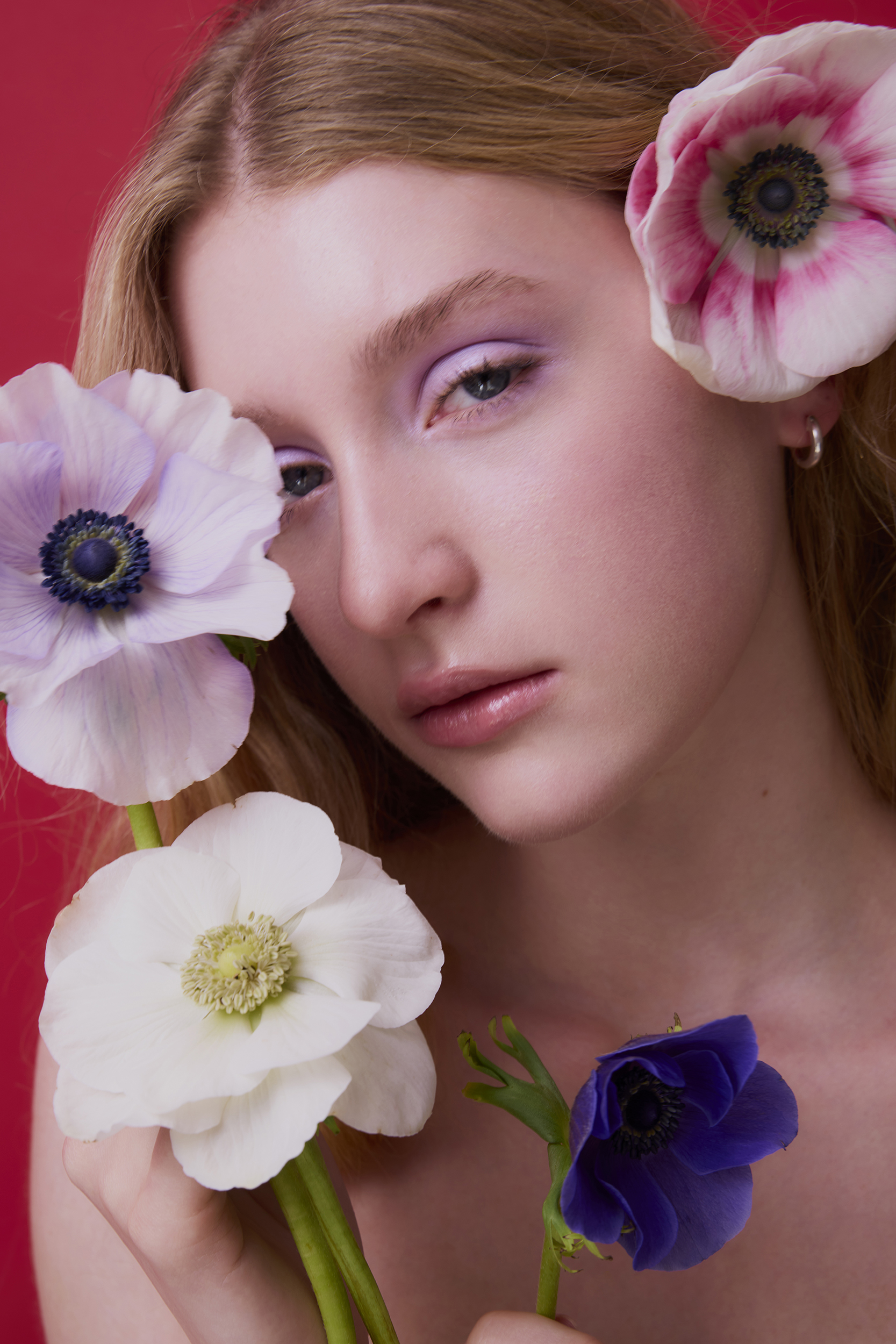 The Collective Force - Overview