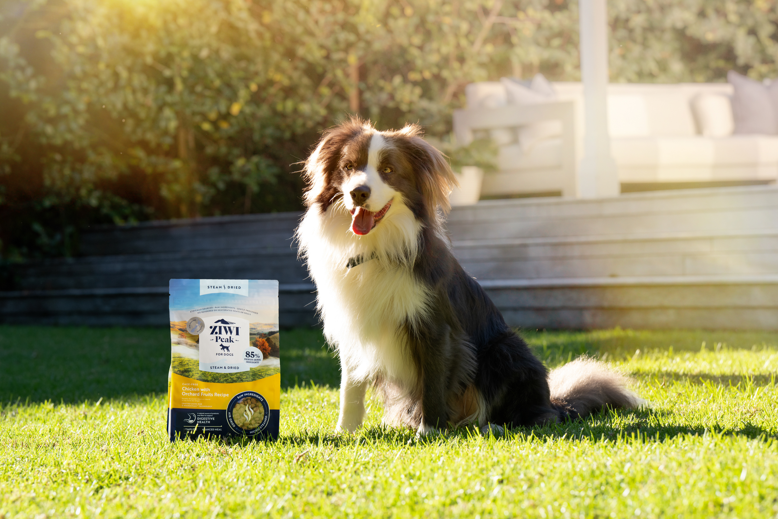 The Collective Force - Advertising