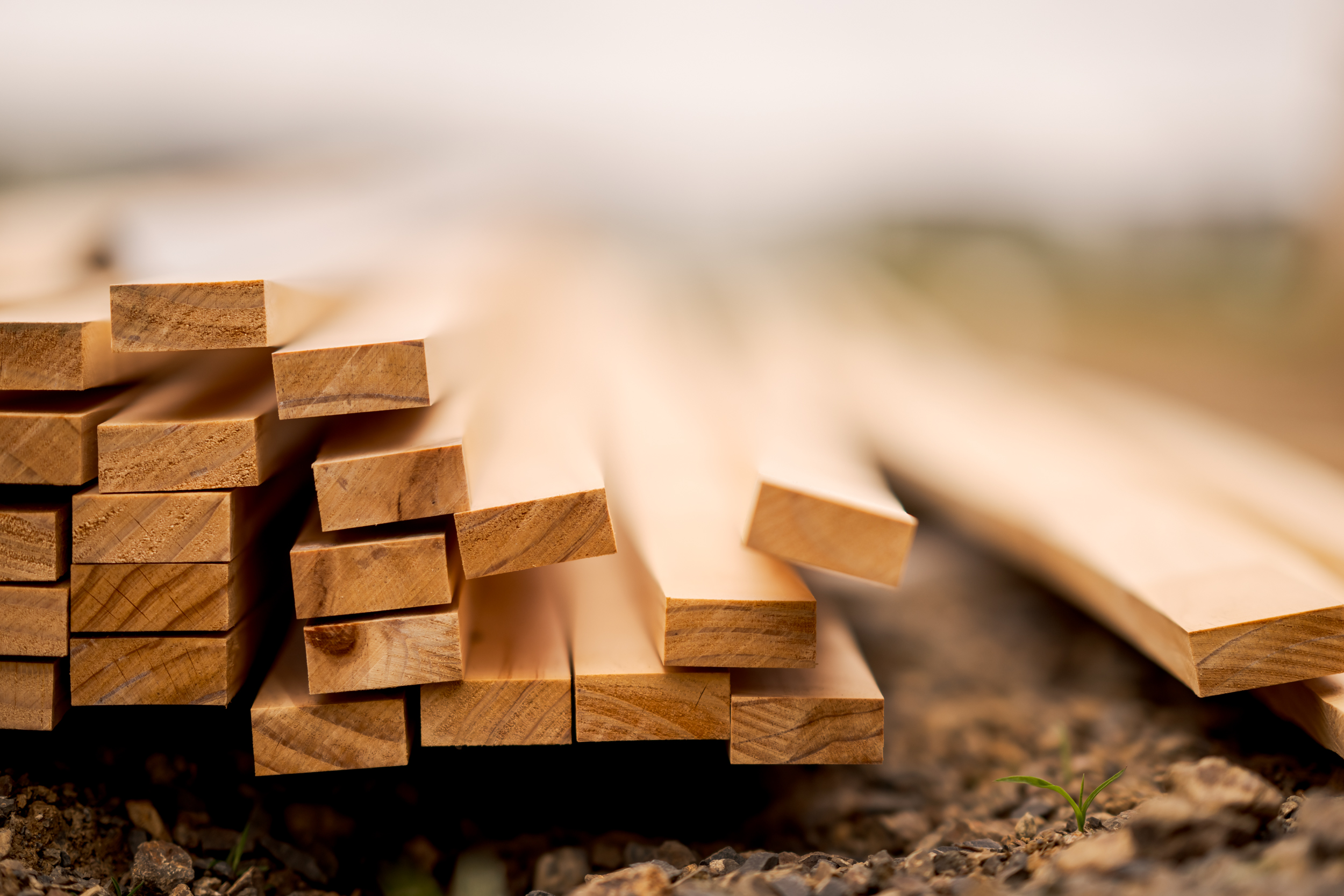 The Collective Force - Builders Academy