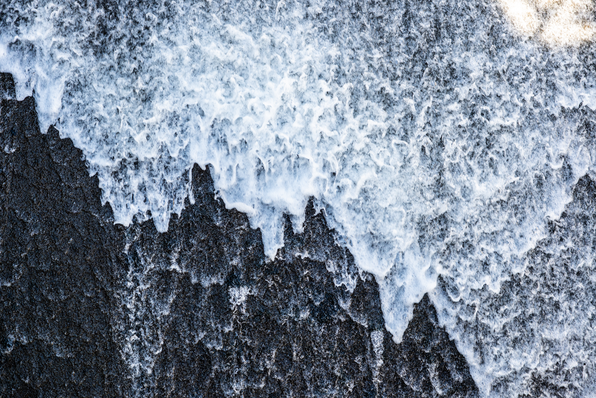 The Collective Force - Dairy New Zealand