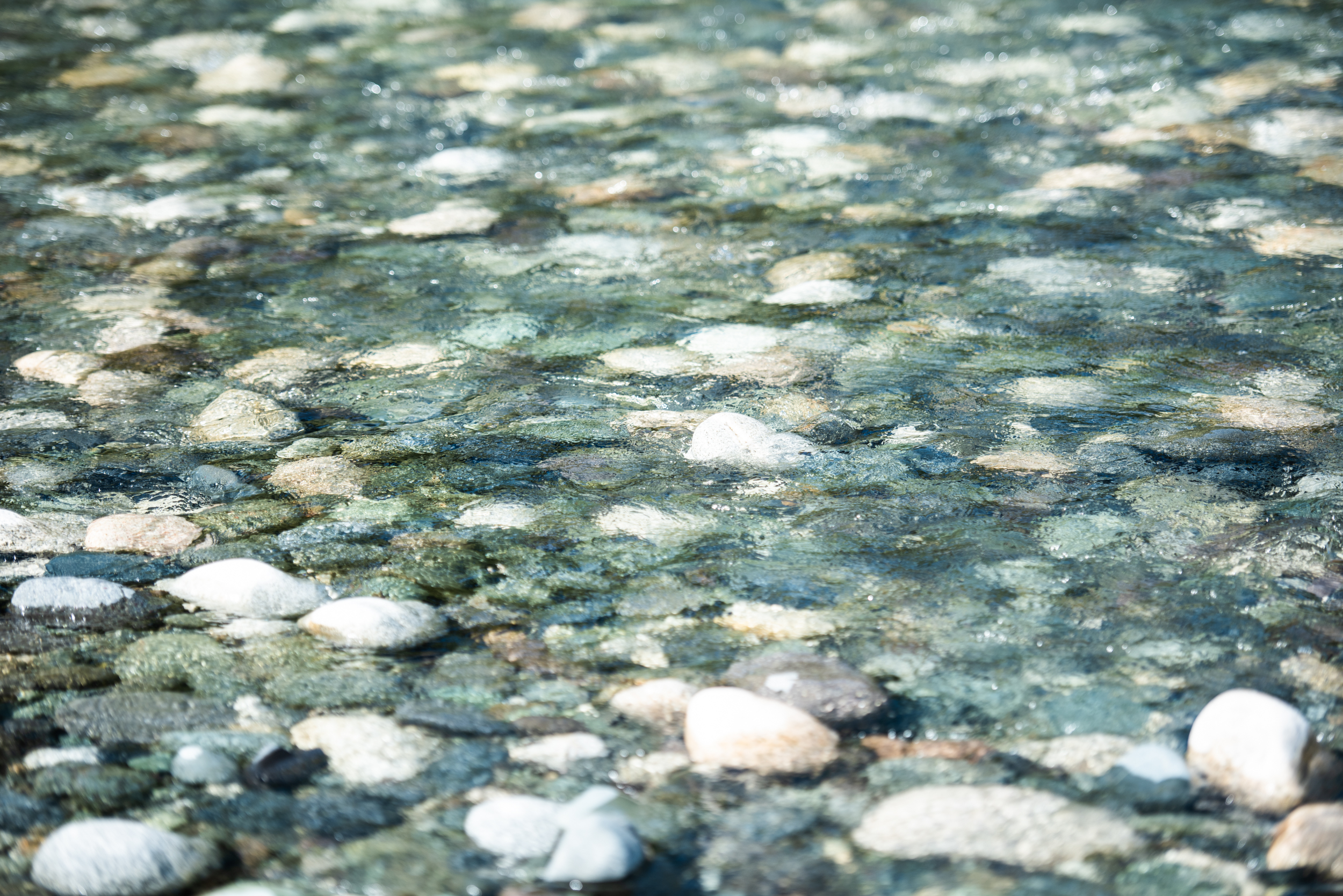 The Collective Force - Dairy New Zealand