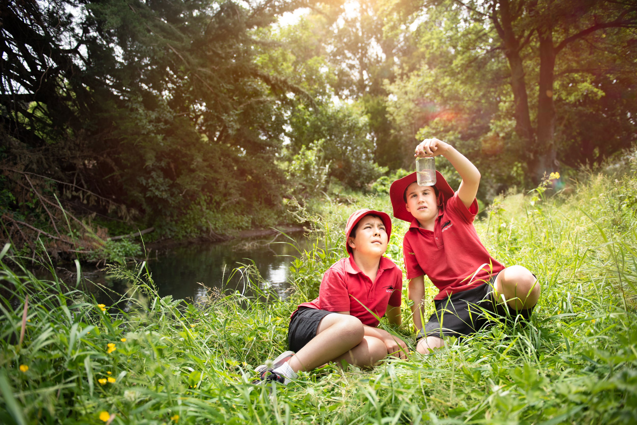 The Collective Force - Dairy New Zealand