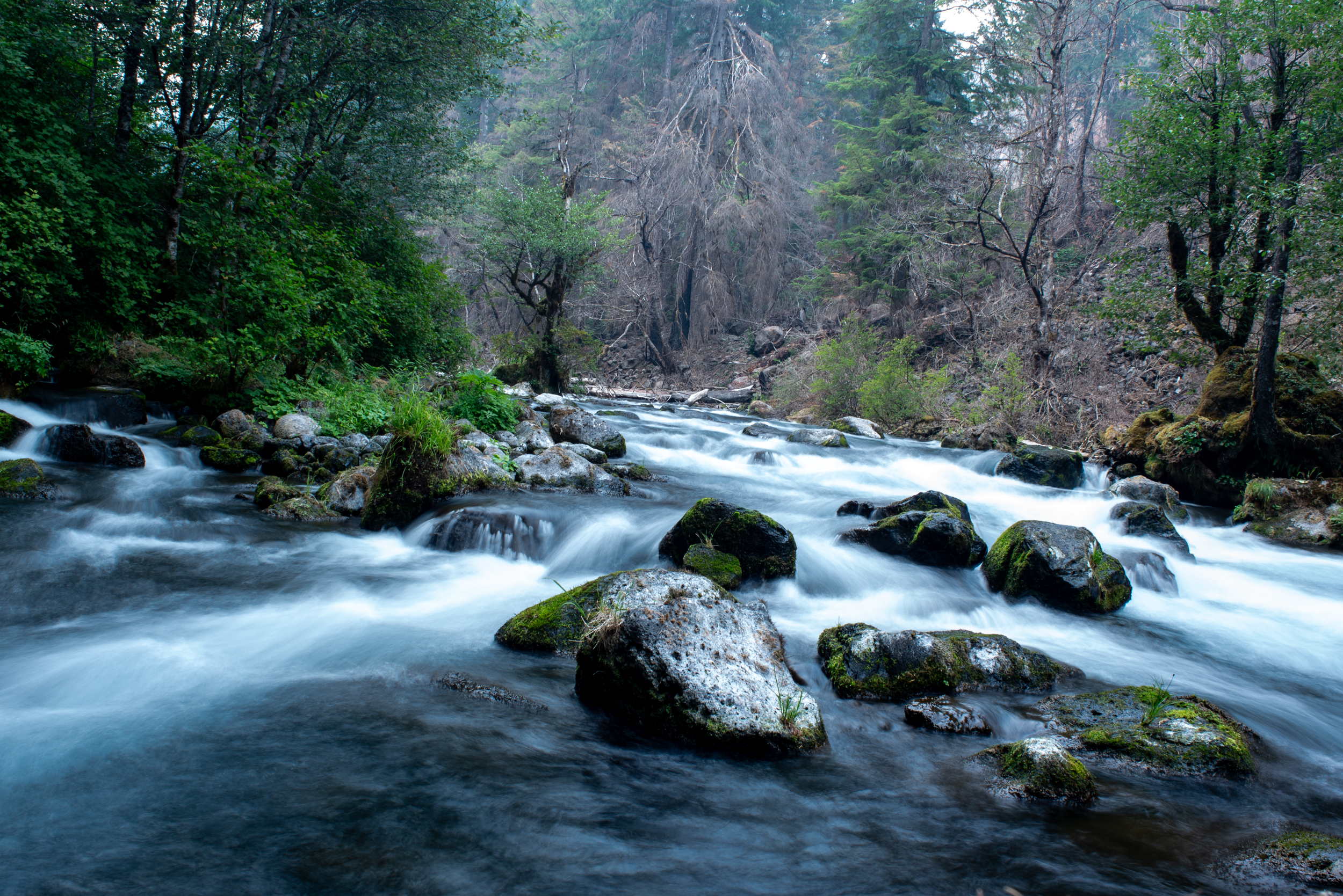 The Collective Force - Landscape