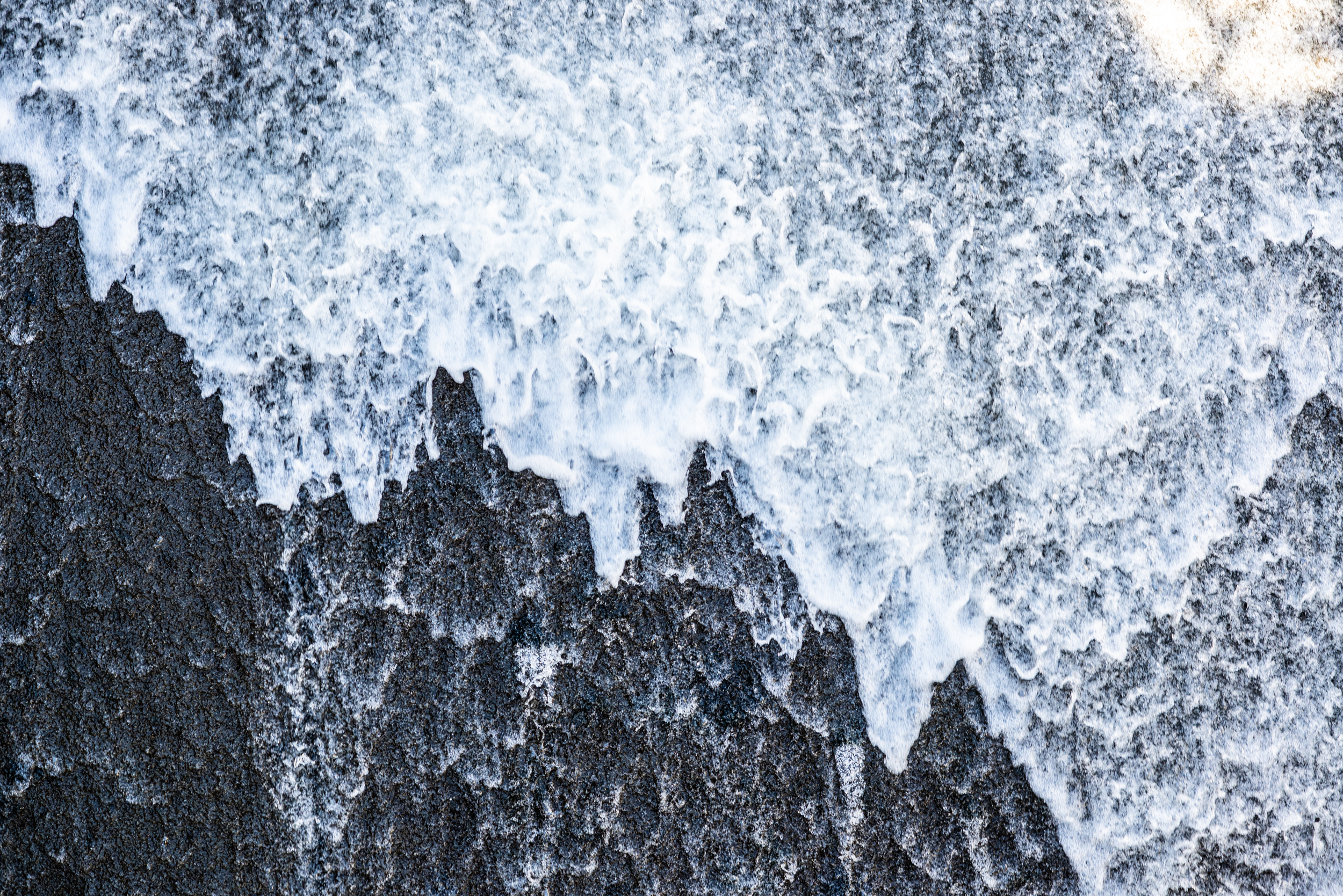 The Collective Force - Landscape