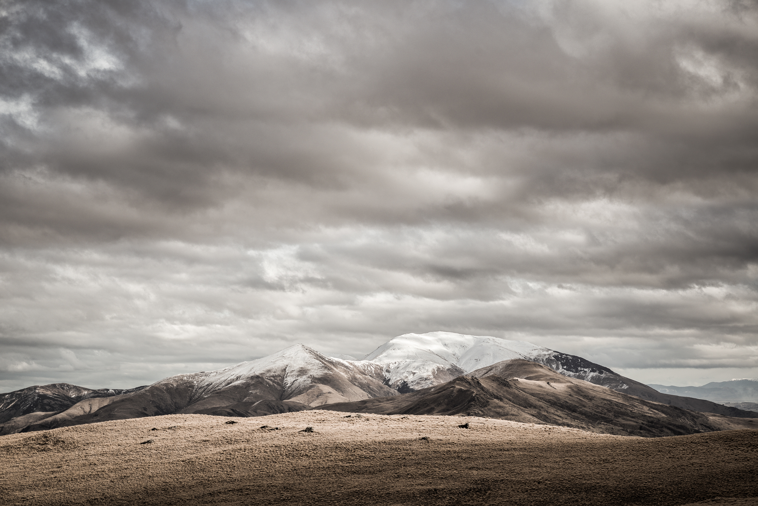 The Collective Force - Landscape