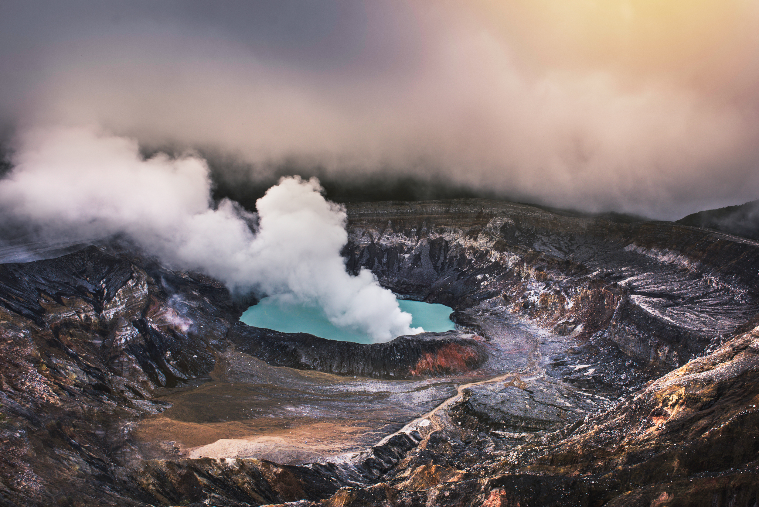 The Collective Force - Landscape