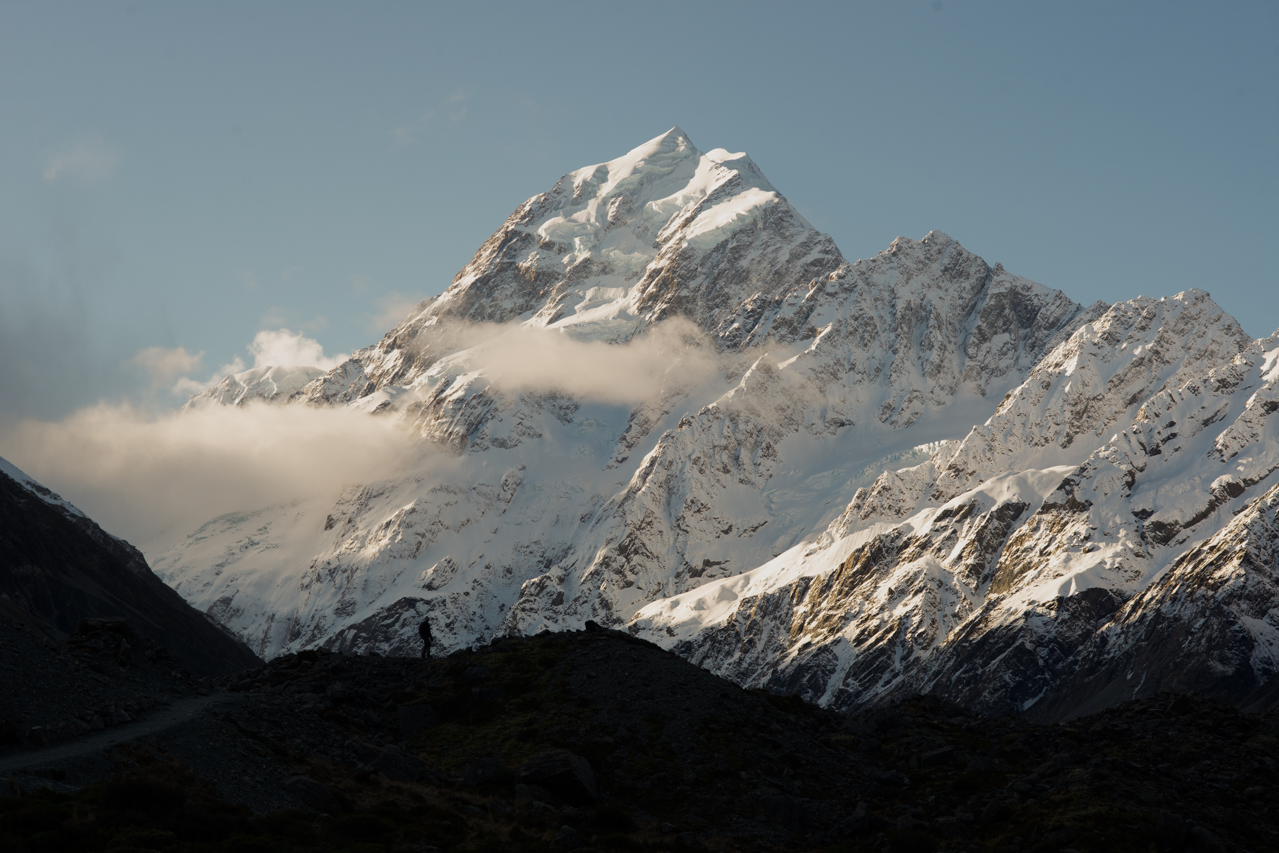 The Collective Force - Landscape