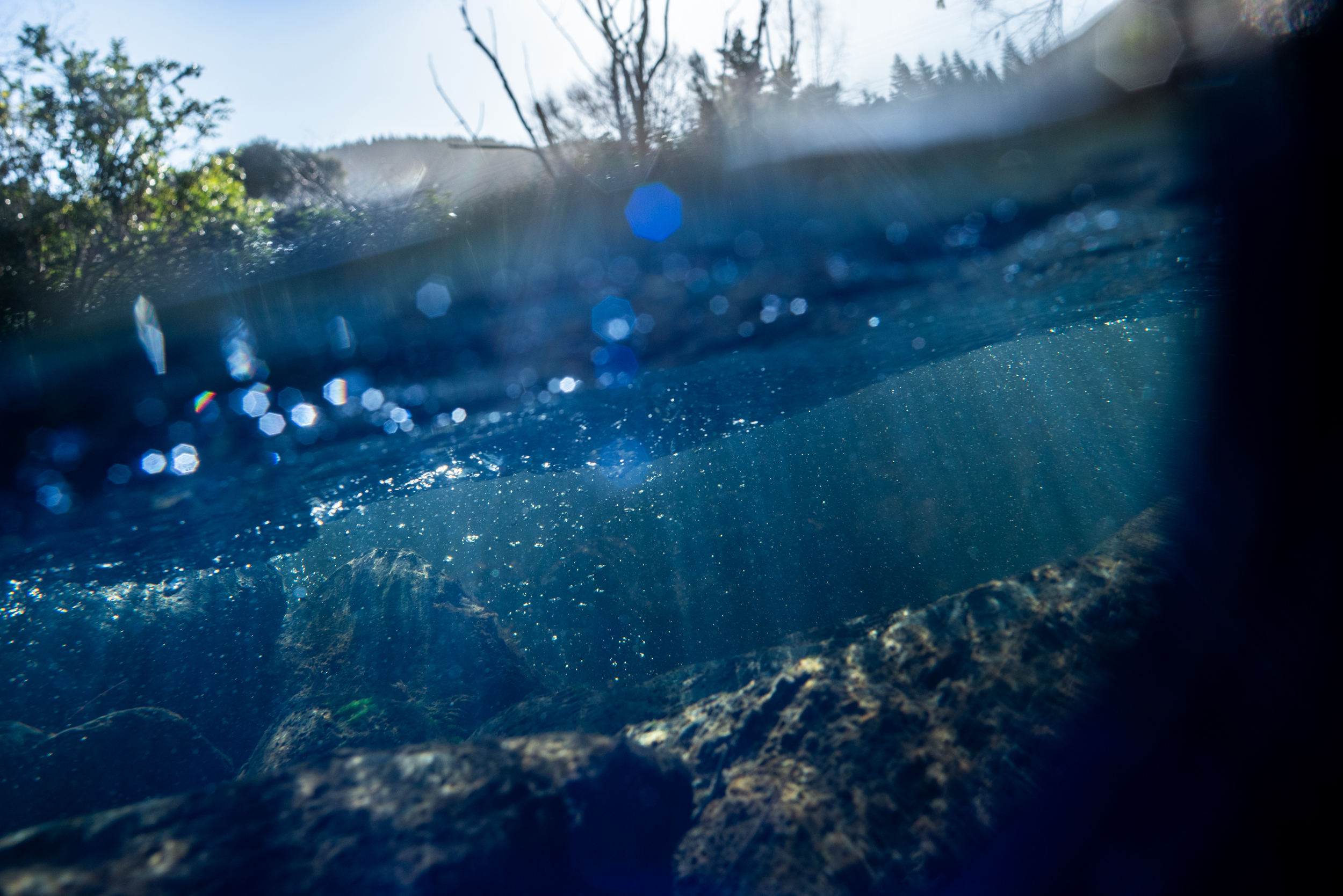 The Collective Force - Landscape