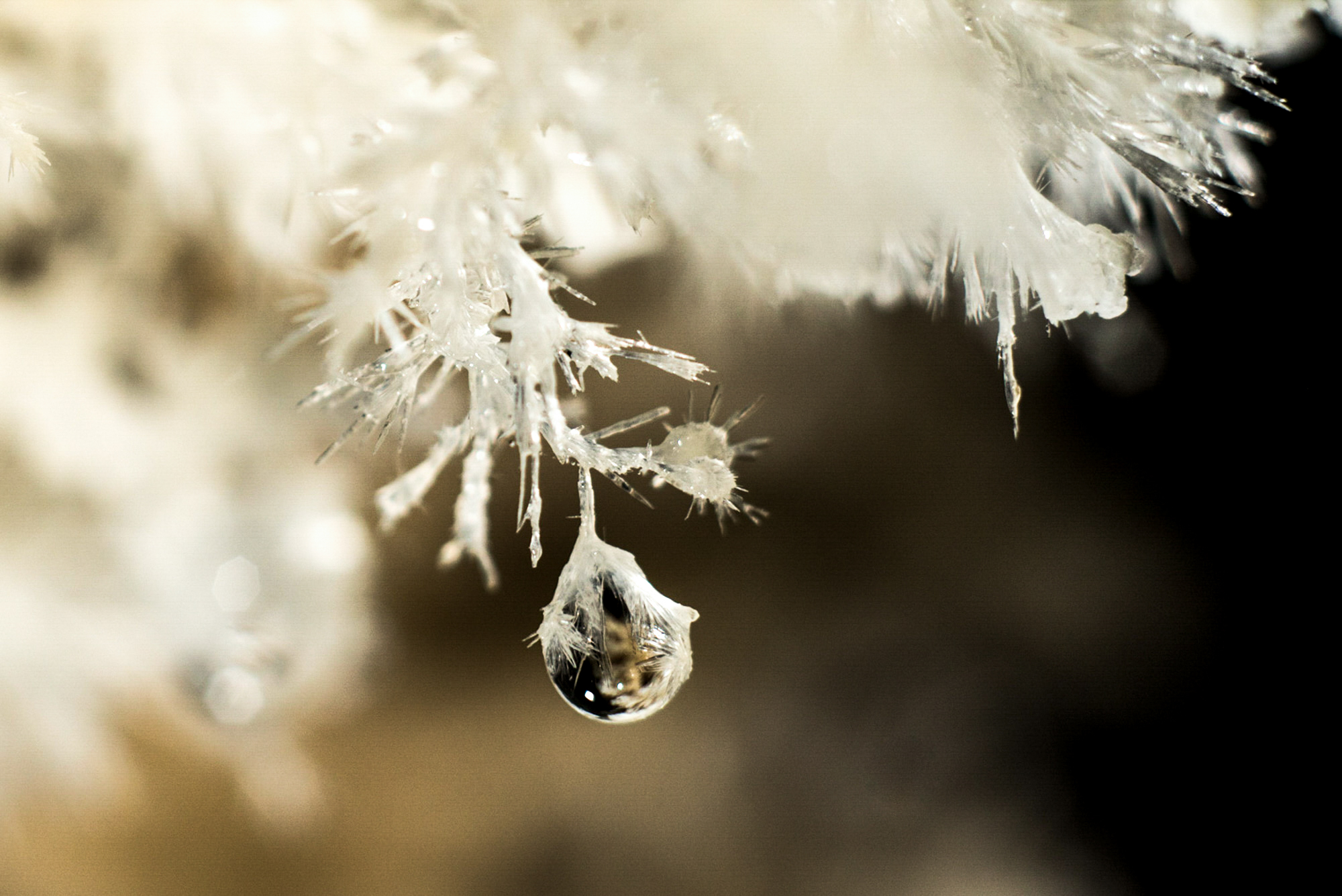 The Collective Force - Lifestyle