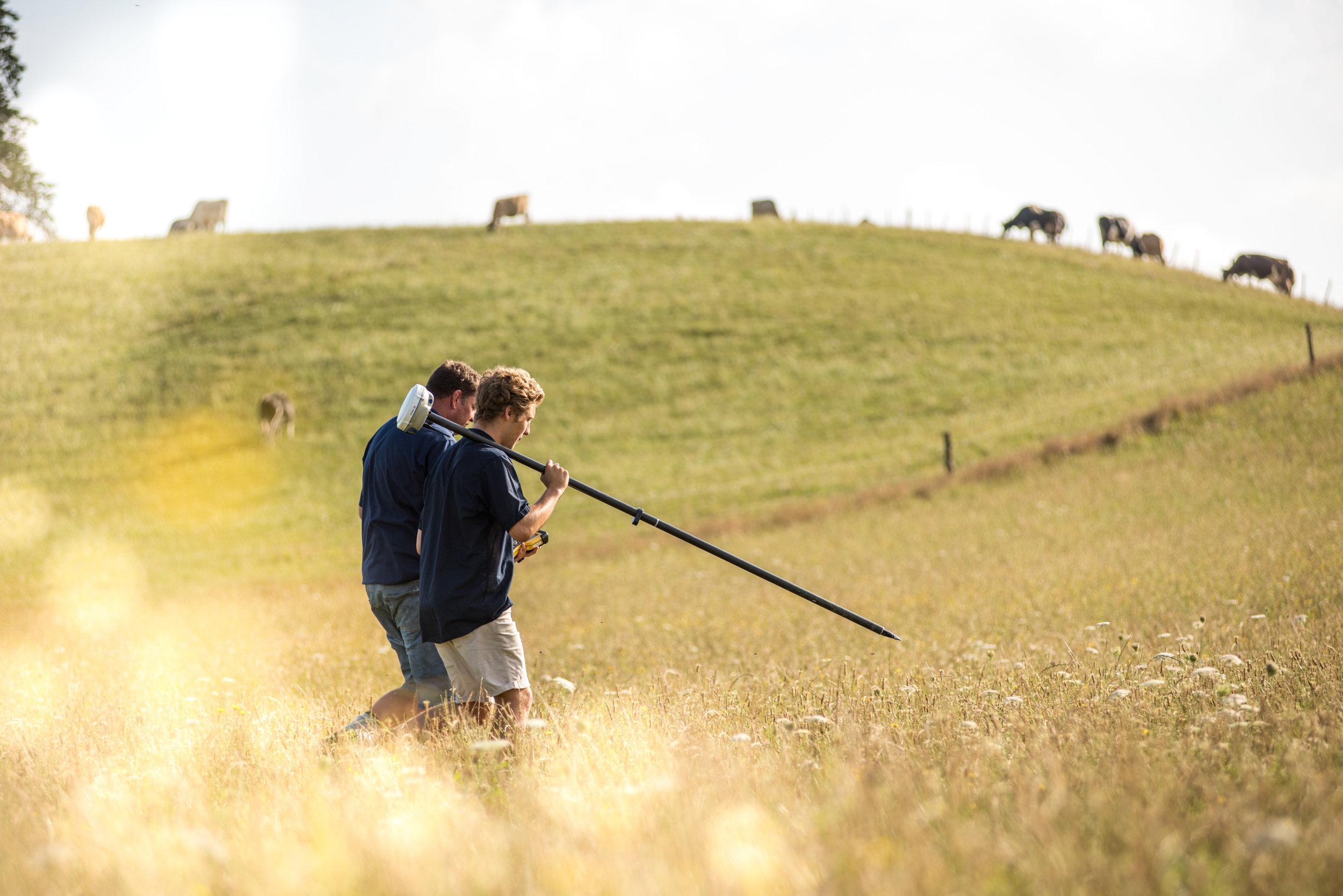 The Collective Force - Lifestyle