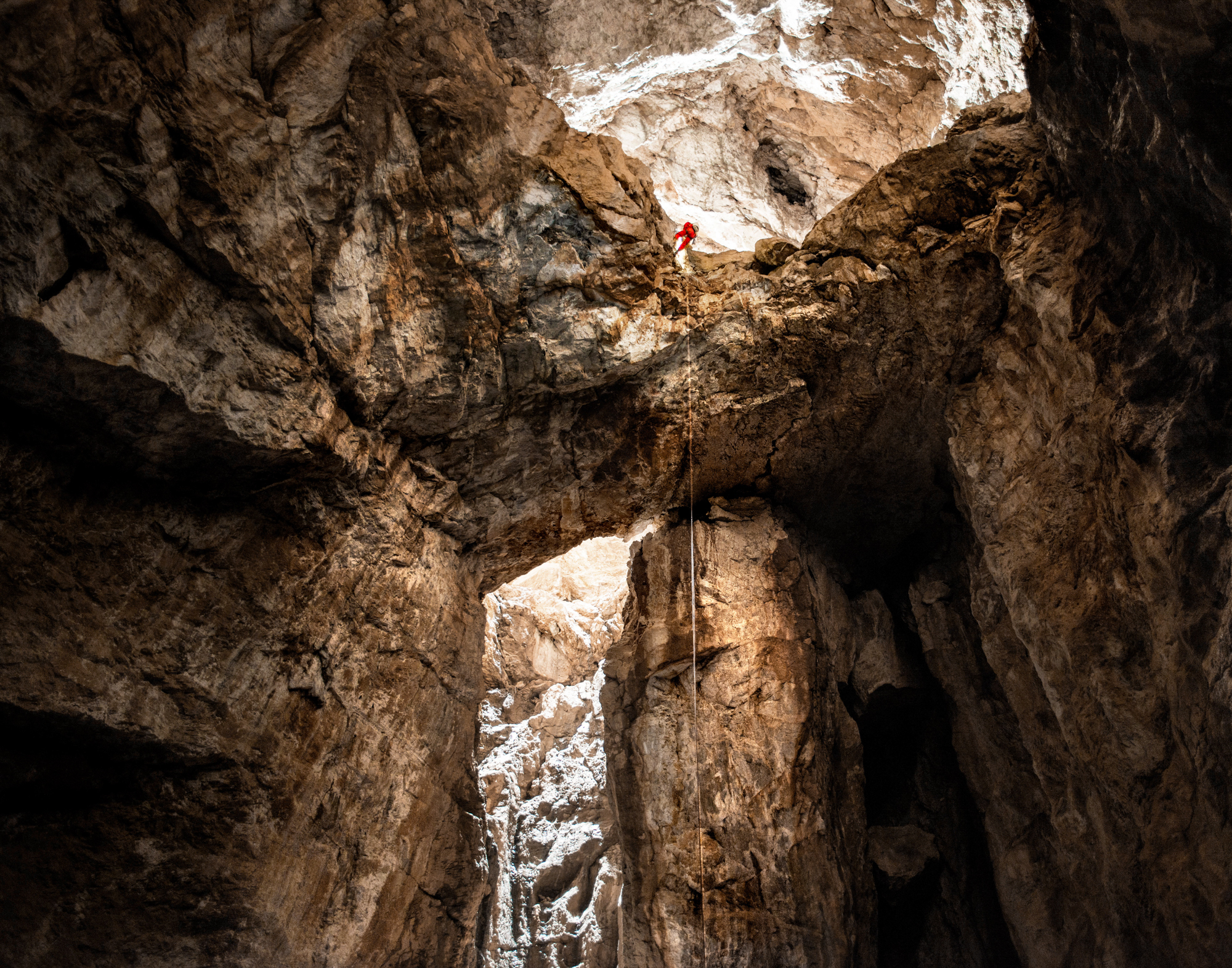 The Collective Force - Lifestyle