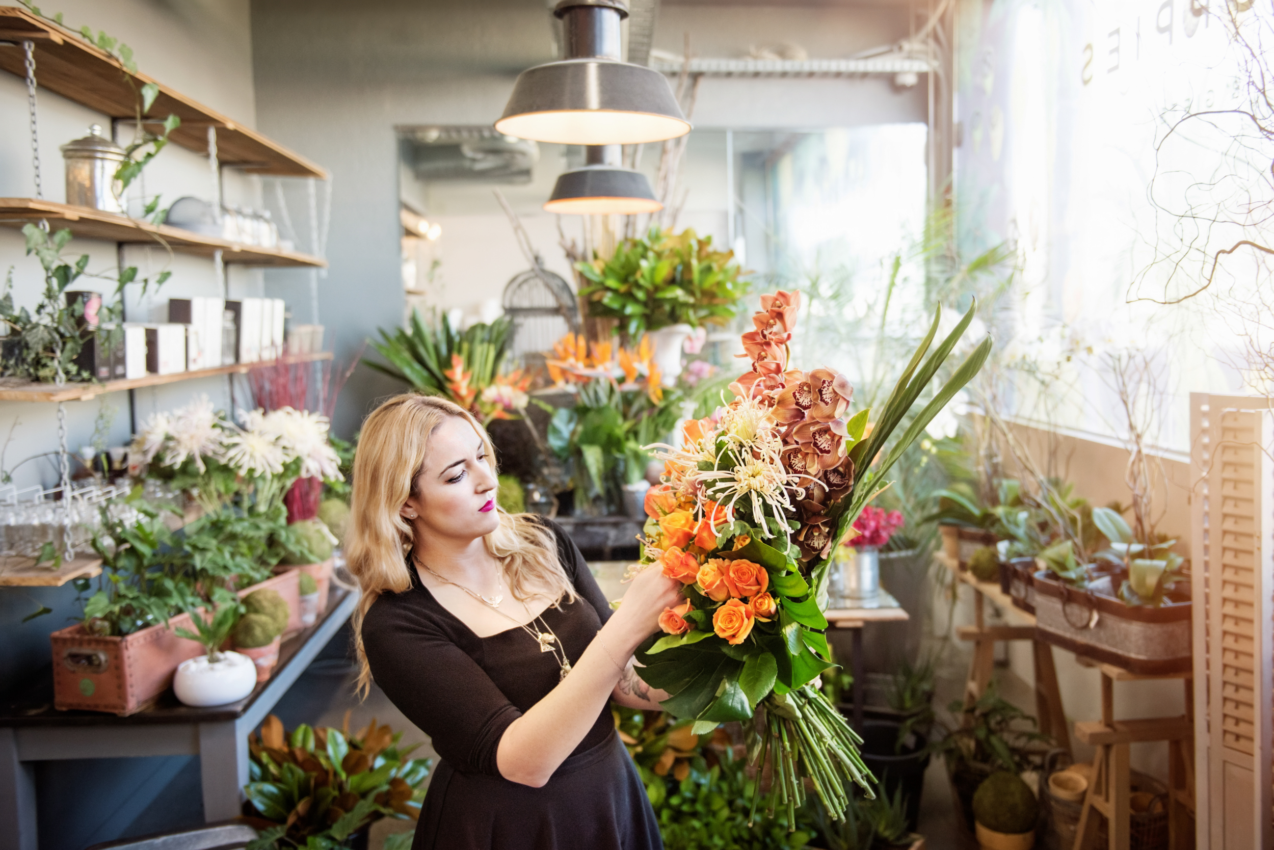 The Collective Force - Lifestyle