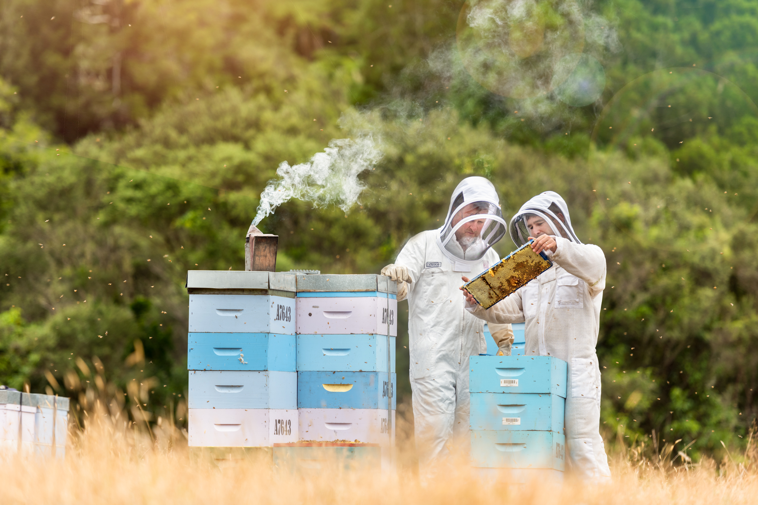 The Collective Force - Lifestyle