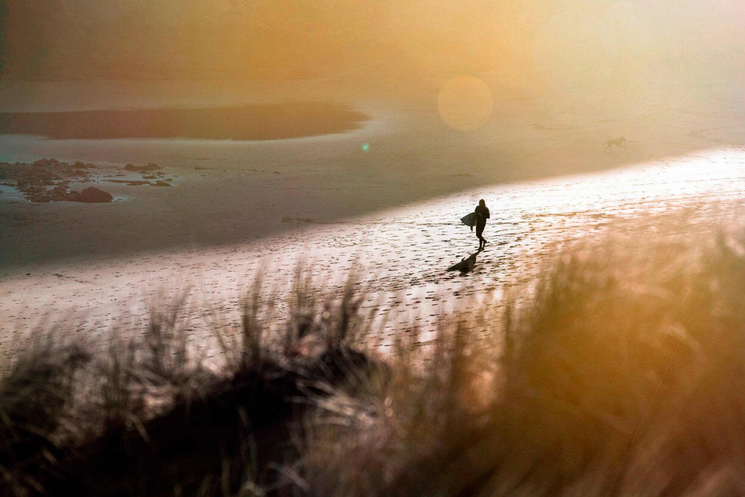 The Collective Force - Melissa Nickerson