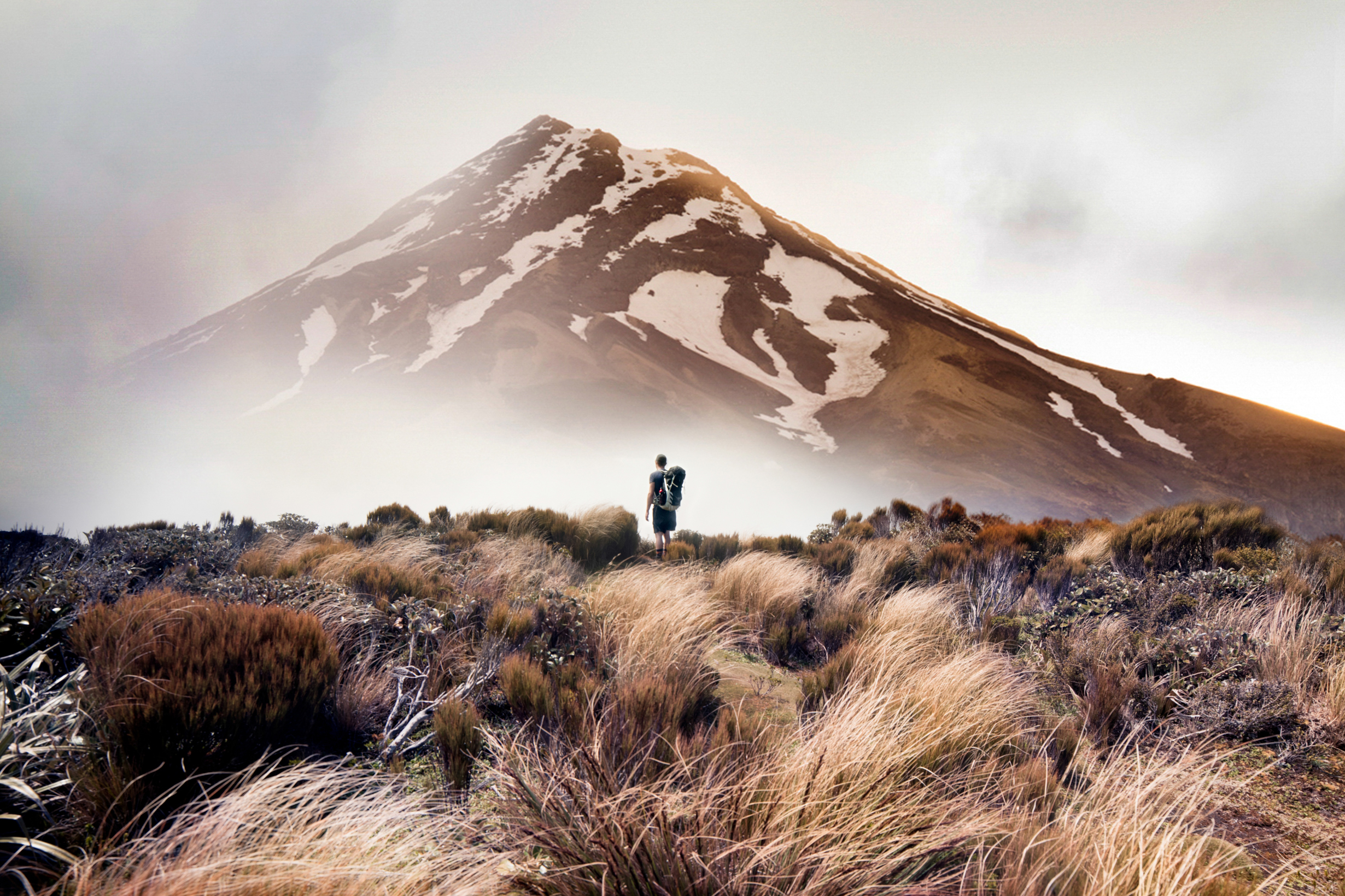 The Collective Force - Melissa Nickerson