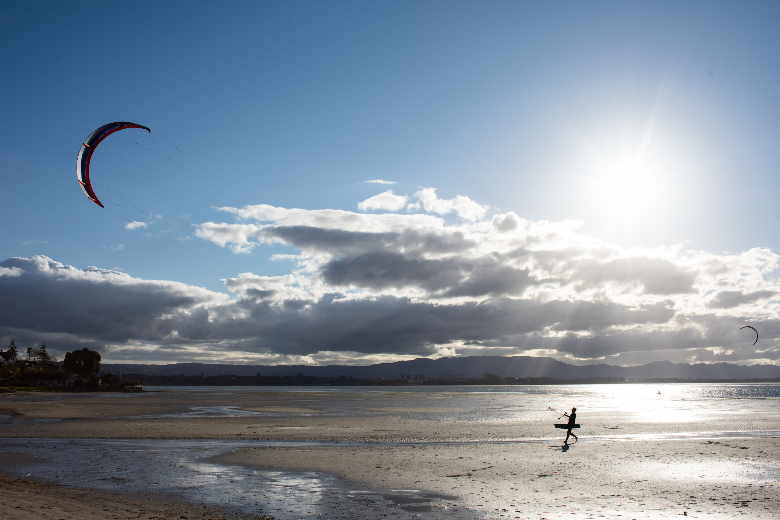 The Collective Force - Melissa Nickerson