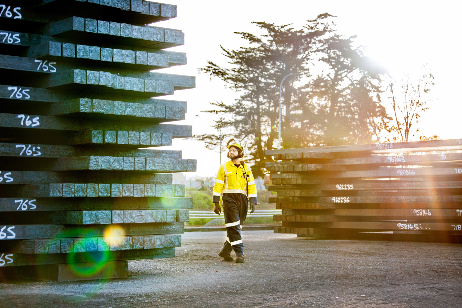 The Collective Force - Melissa Nickerson