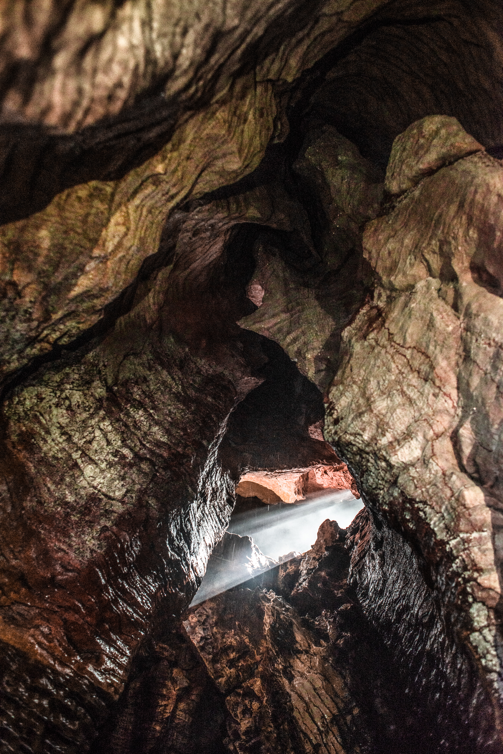 The Collective Force - Melissa Nickerson