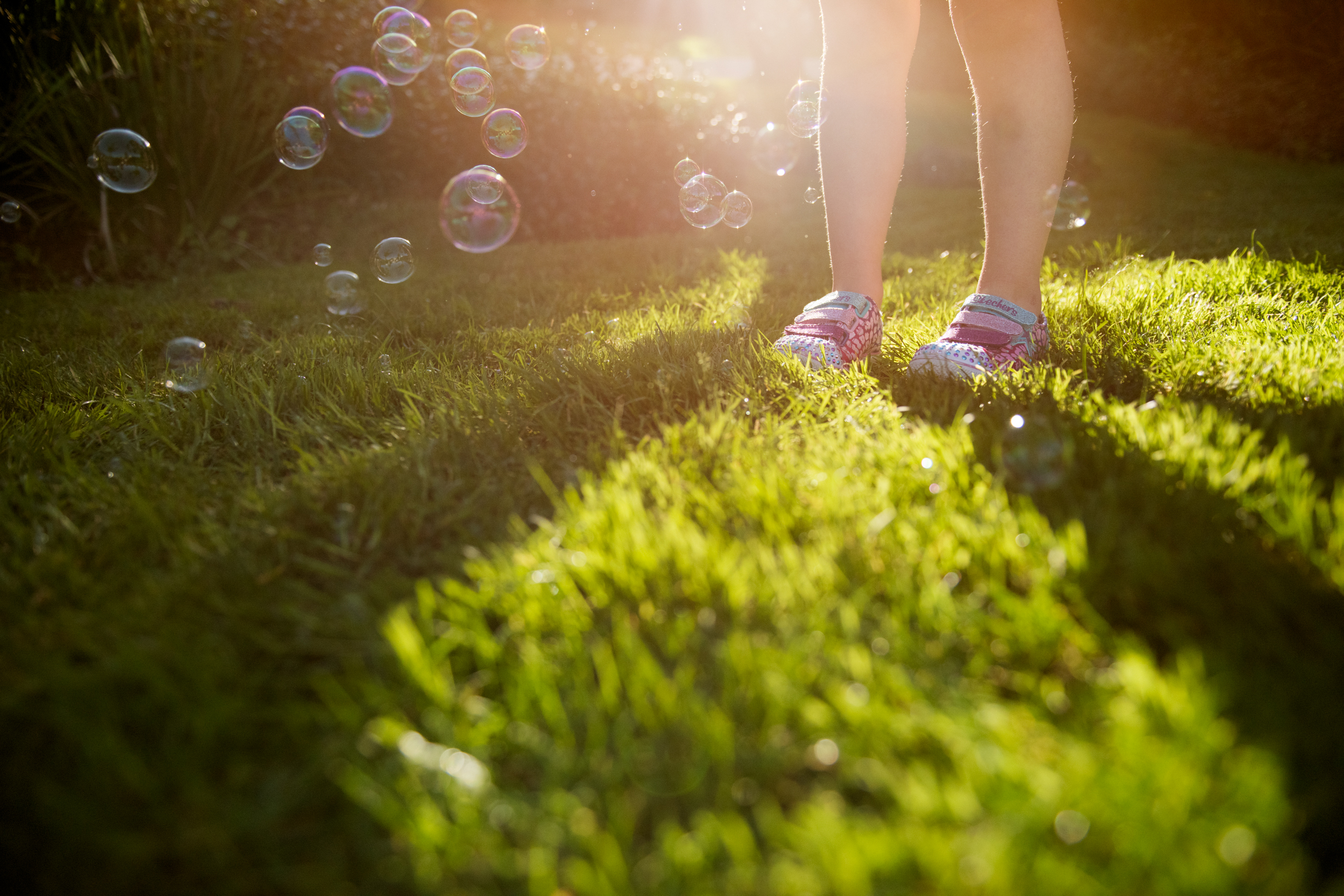 The Collective Force - Melissa Nickerson