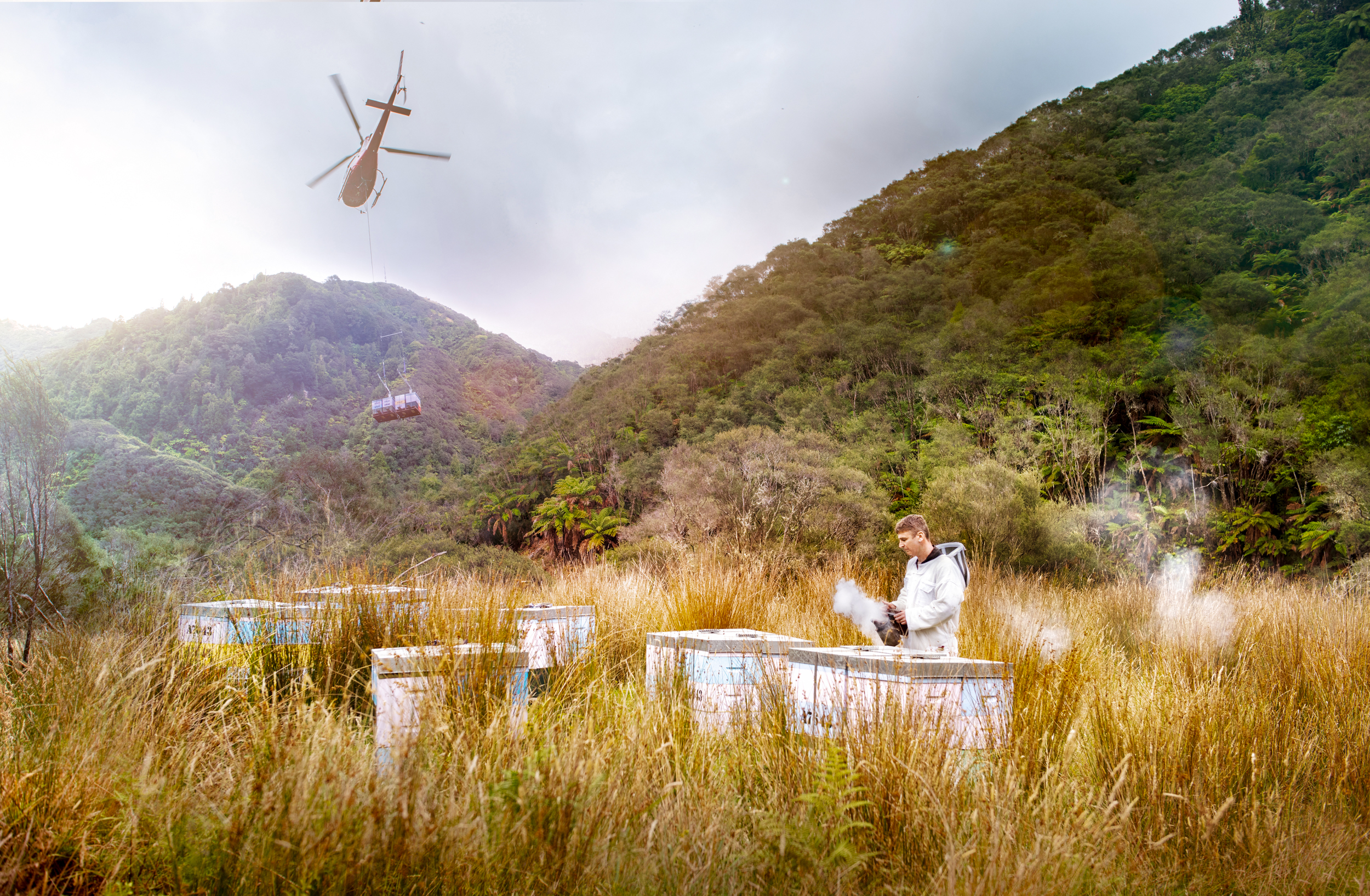 The Collective Force - Melissa Nickerson