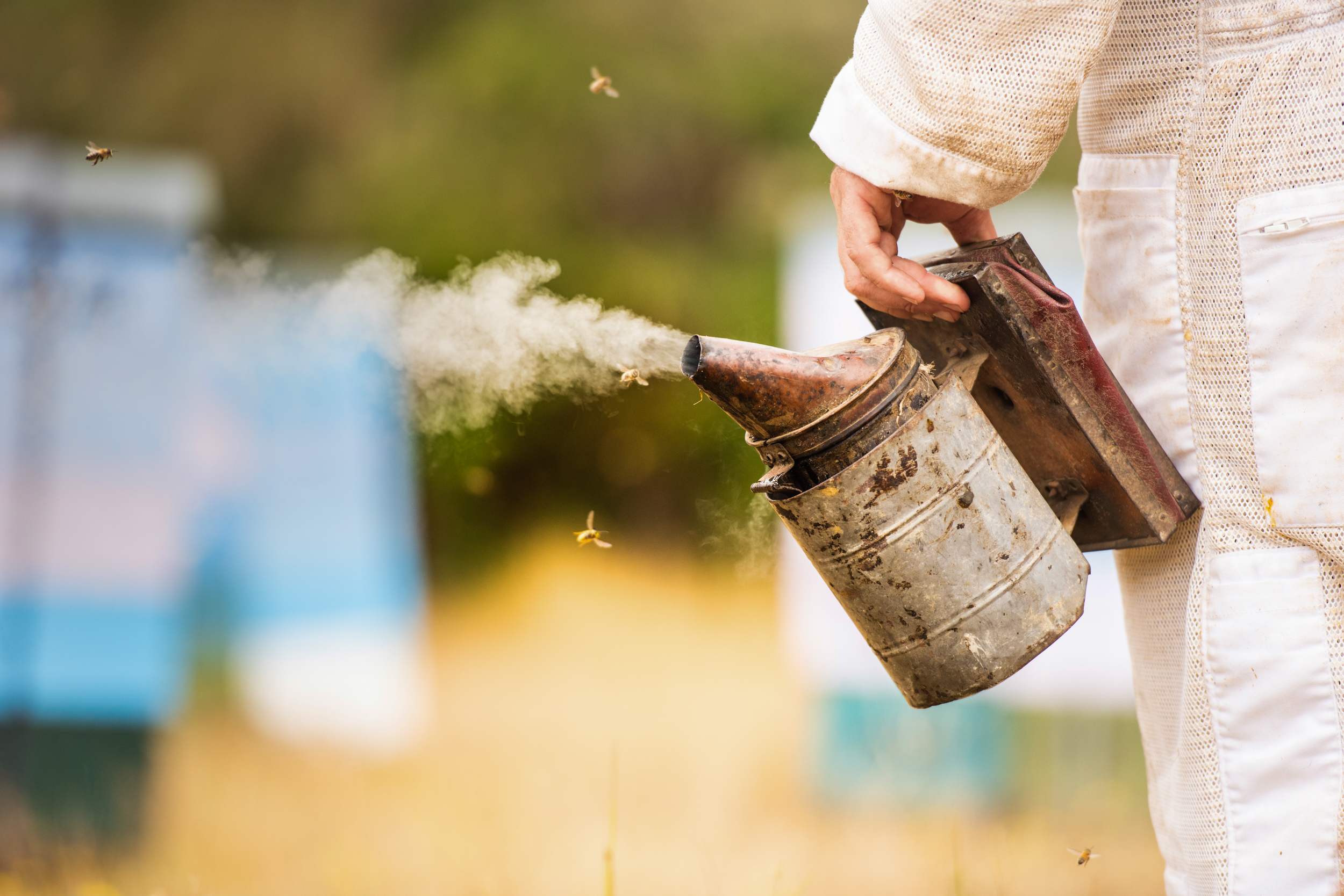 The Collective Force - Melissa Nickerson