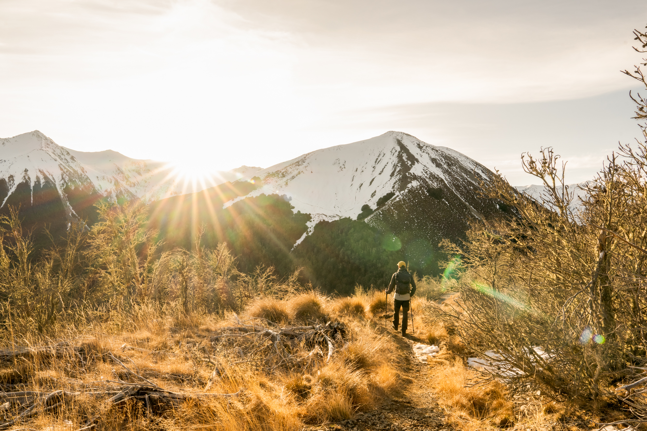 The Collective Force - Melissa Nickerson