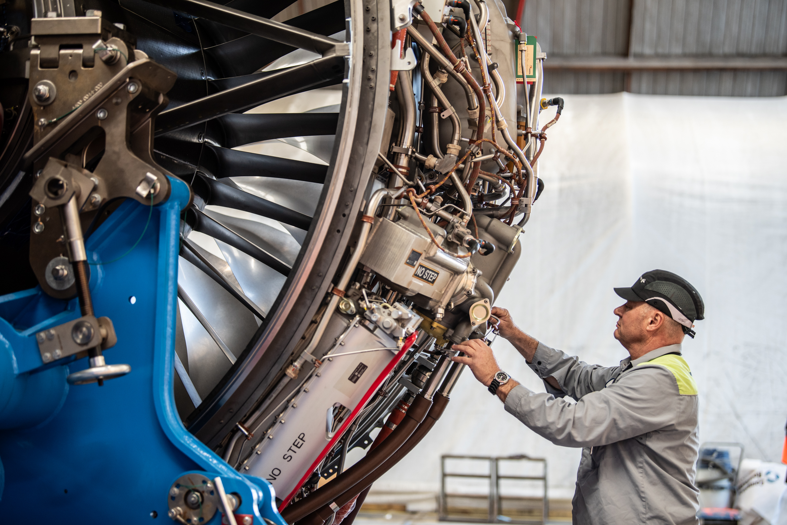 The Collective Force - Melissa Nickerson