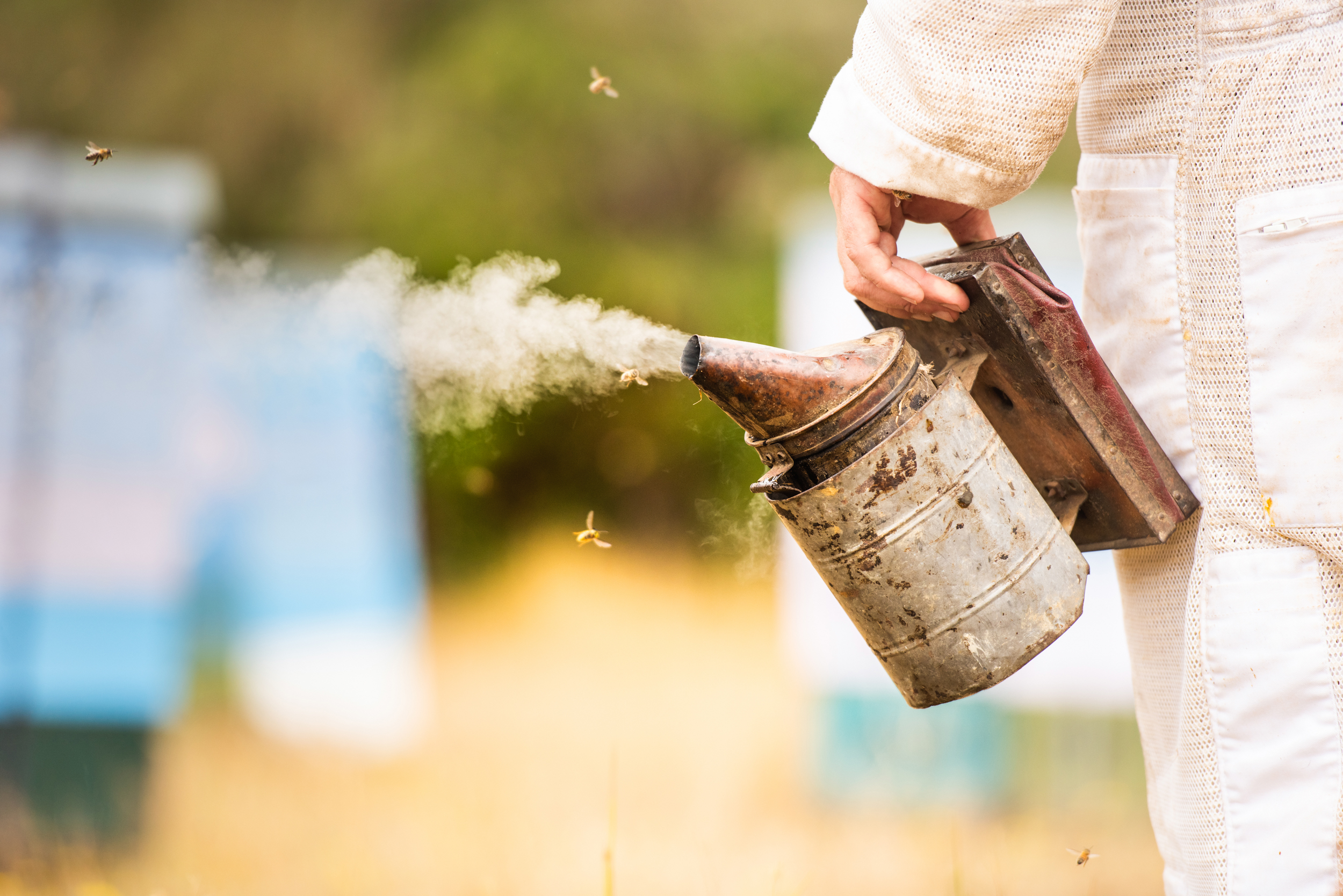 The Collective Force - Mānuka Health